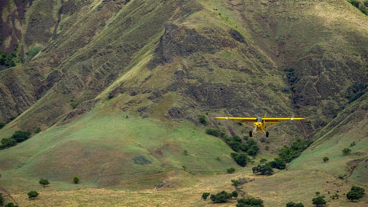 Membership News & Notes June 2020