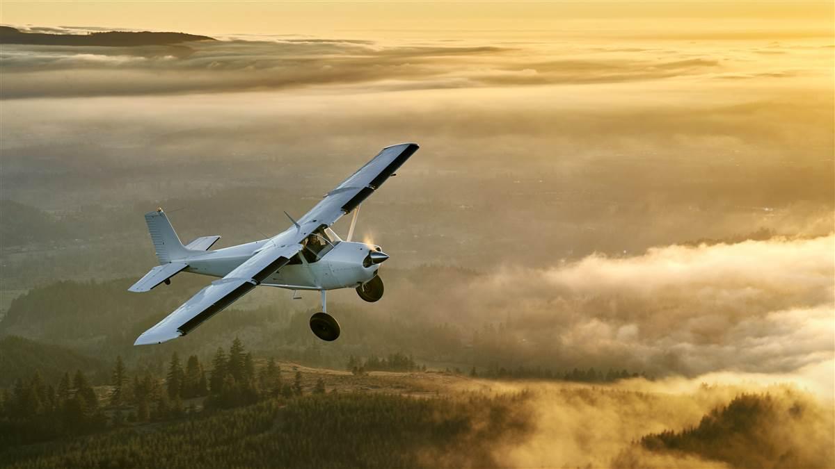 Beauty Or The Beast Aopa
