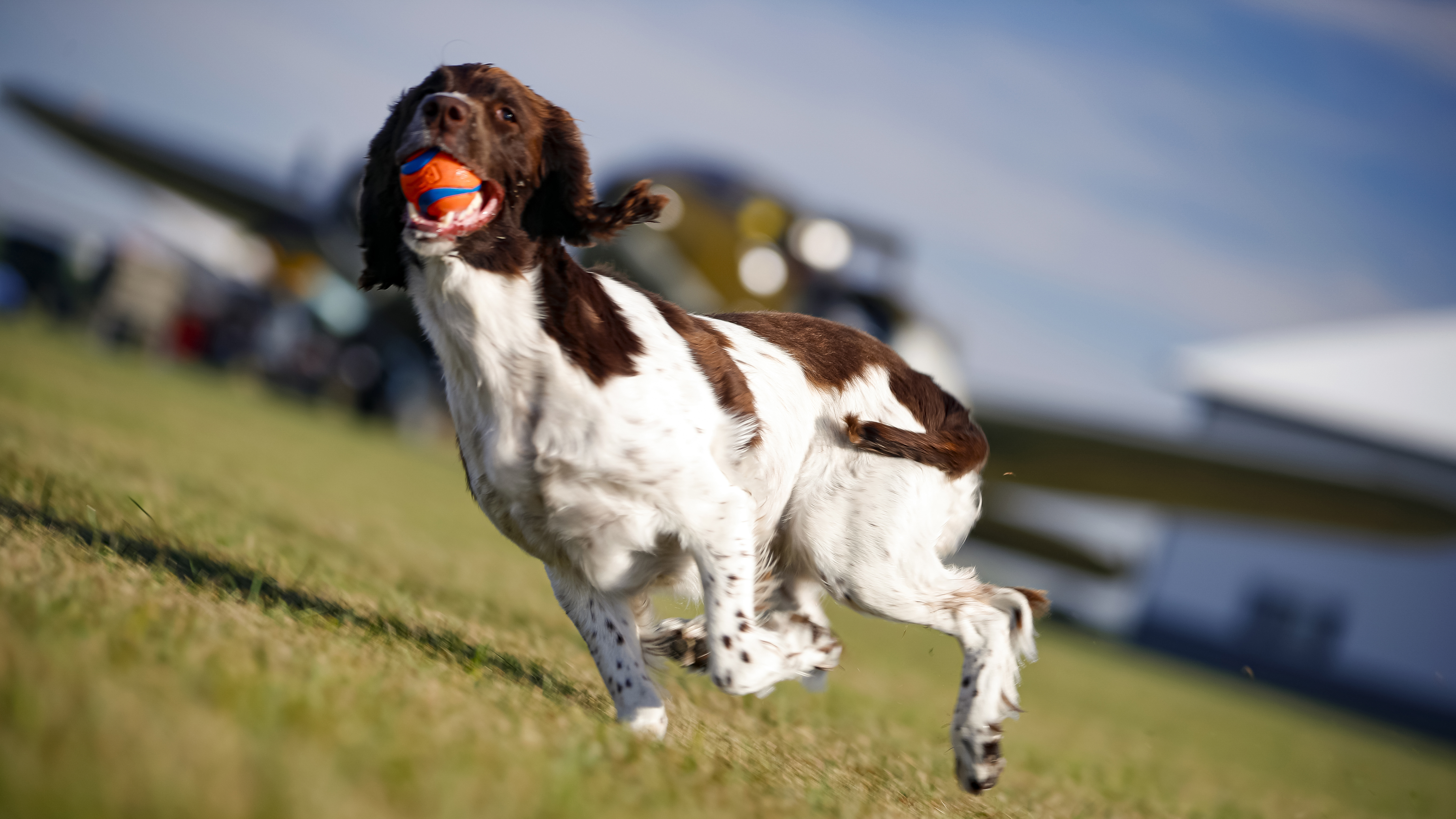 Pilot Briefing November 2020