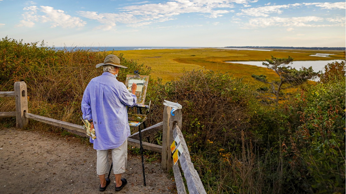 Flying Cape Cod