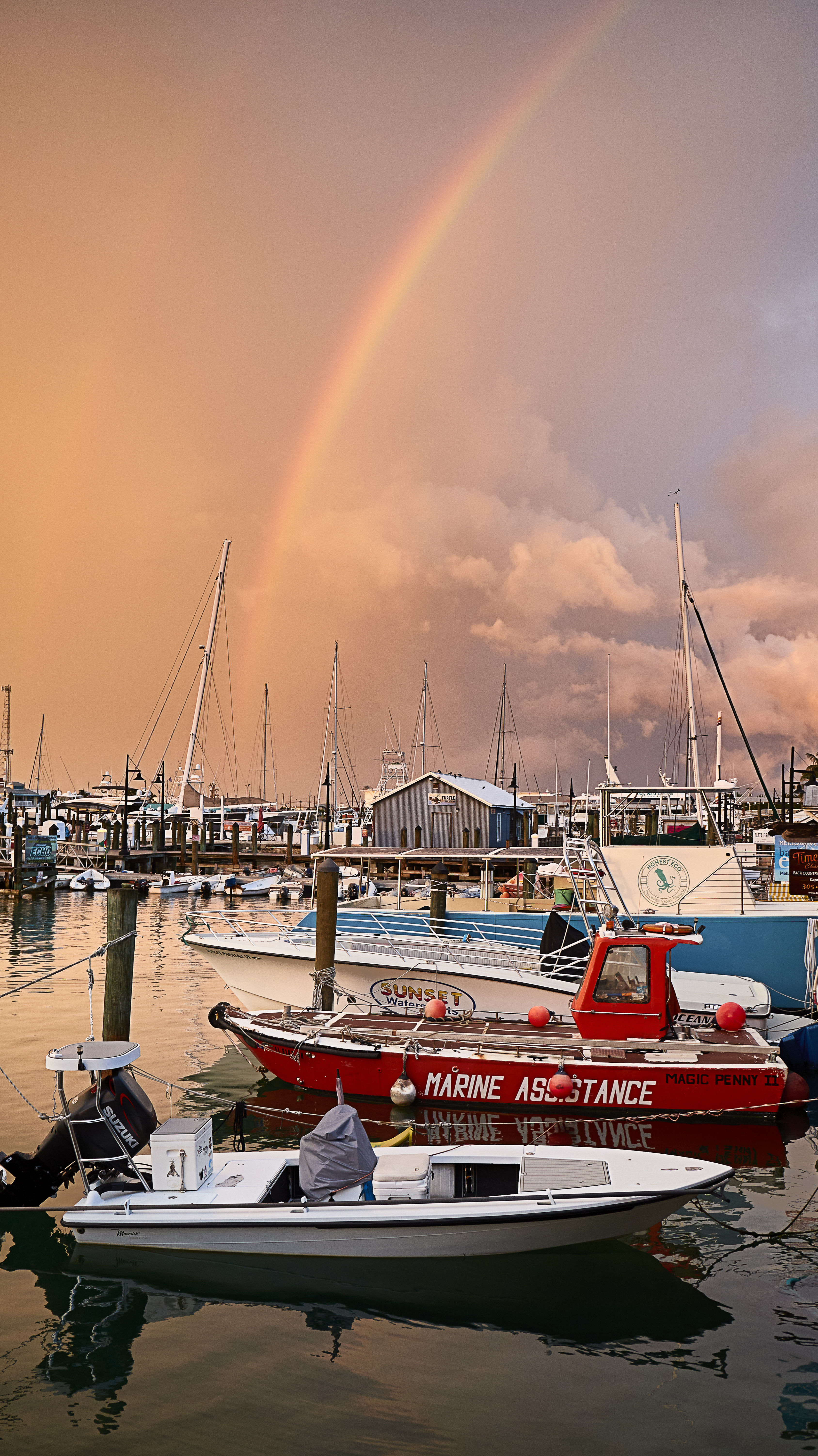 Commercial fishermen bring in fresh catches for local restaurants, and they make for great scenery here, overlooking the Key West harbor outside the Waterfront Brewery.