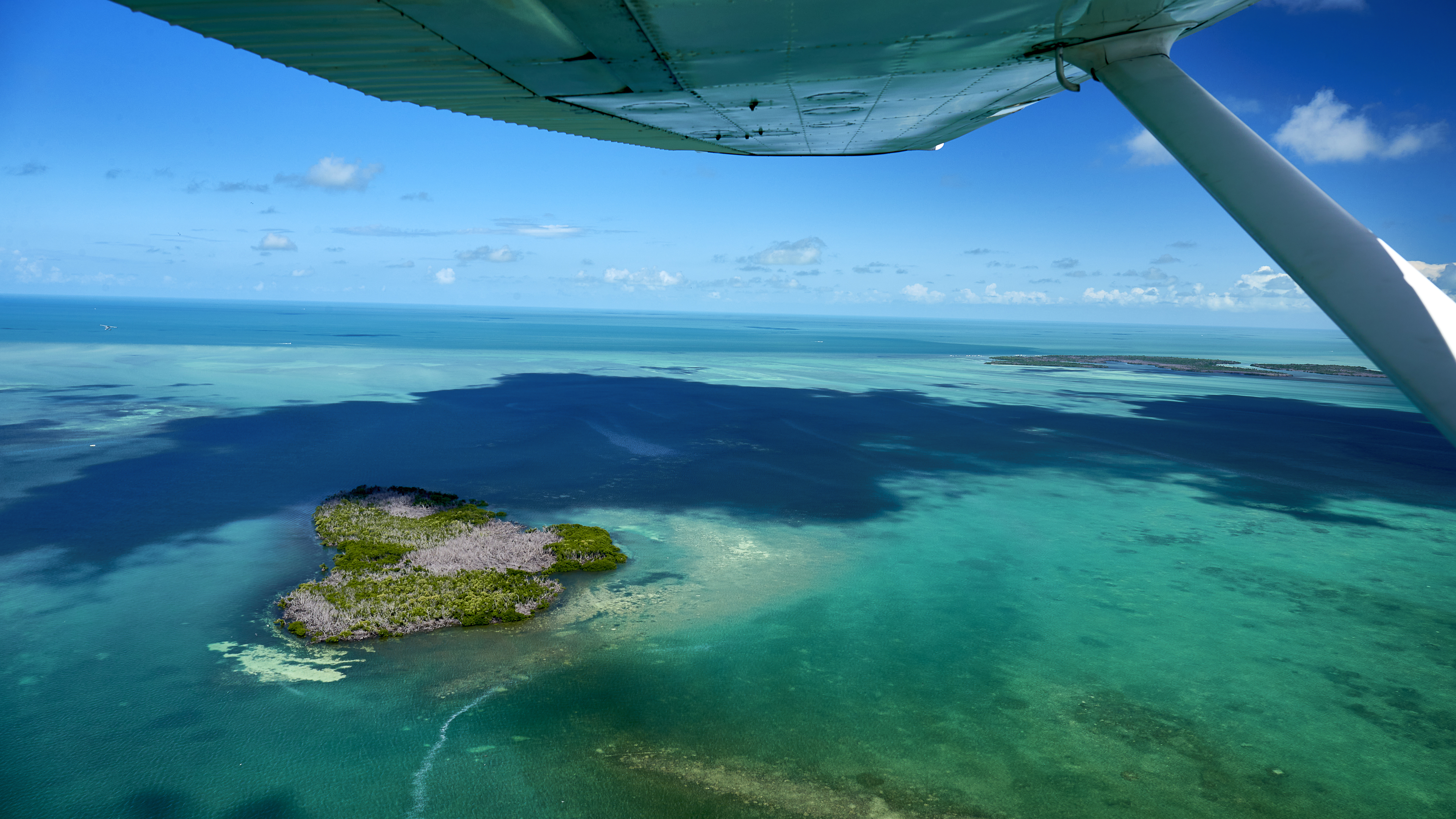 The view from an amphib 172 shows that green comes in many shades.