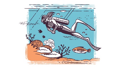Illustrations by Melanie Judd