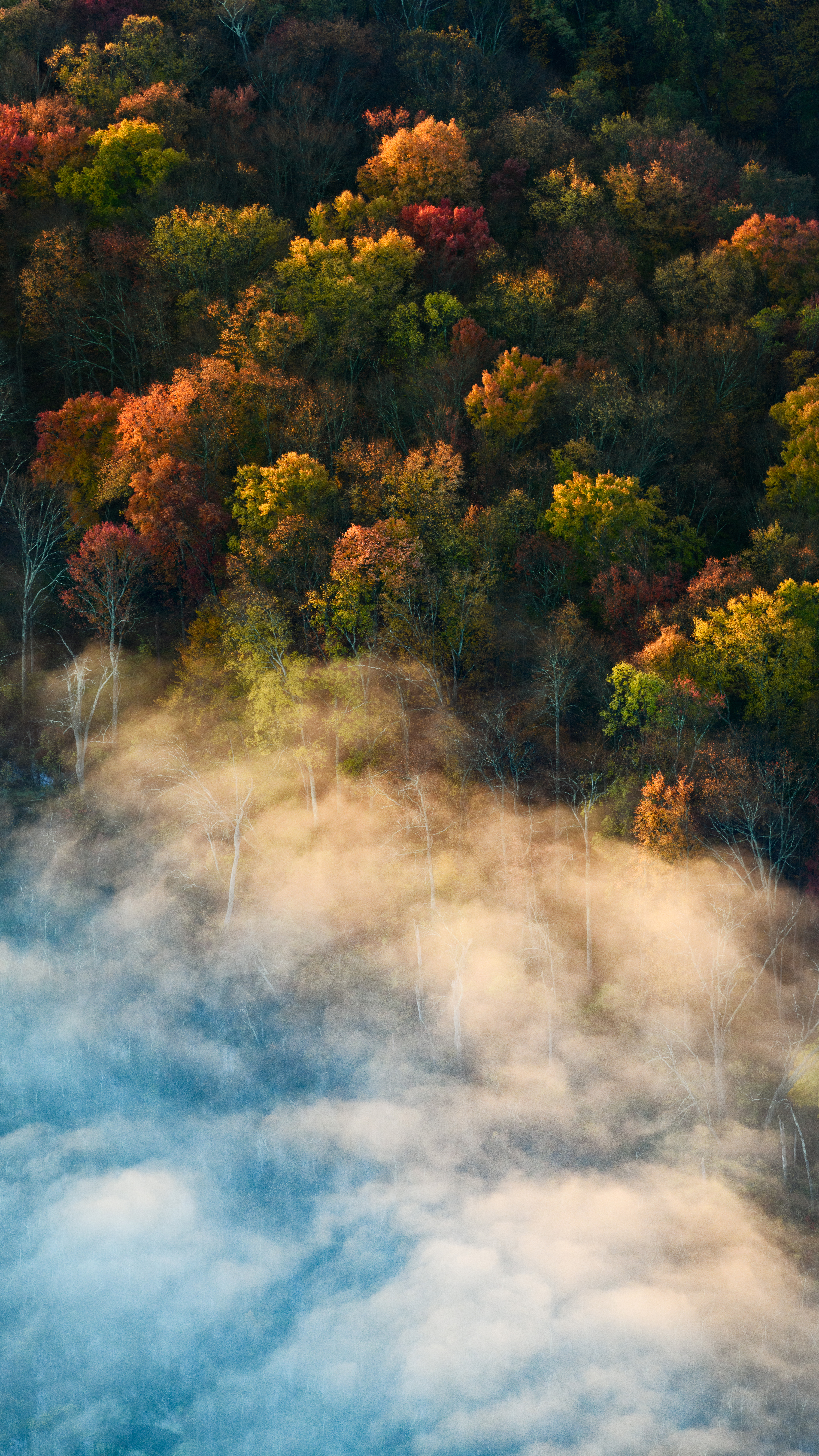 “These photographs have been taken over the course of a few days, on the New York State/Connecticut border, near Croton Falls Reservoir. 
The low temperature/dew point spread created a beautiful ground fog that lasted over the entire early morning. The sky above was perfectly clear, and the landscape had been slowly revealing itself as the sun burned through the early morning fog. Sometimes, it pays to wake up early.”
Near Croton Falls Reservoir, on the Connecticut/New York state border.