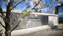 photos of AOPA's Legacy Court in Spring with cherry blossoms in bloom