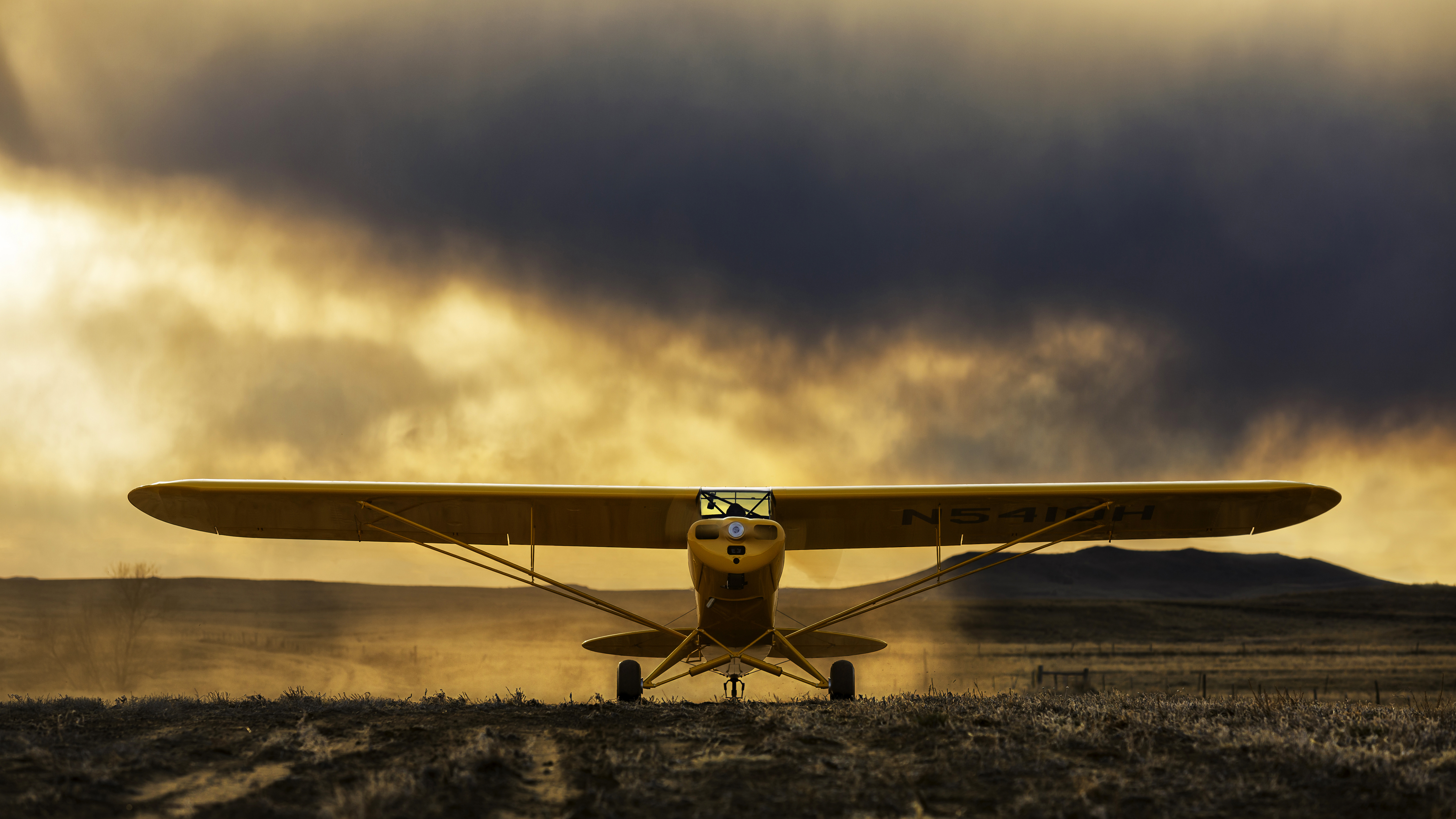 “Yellow Marvel,” July 2014