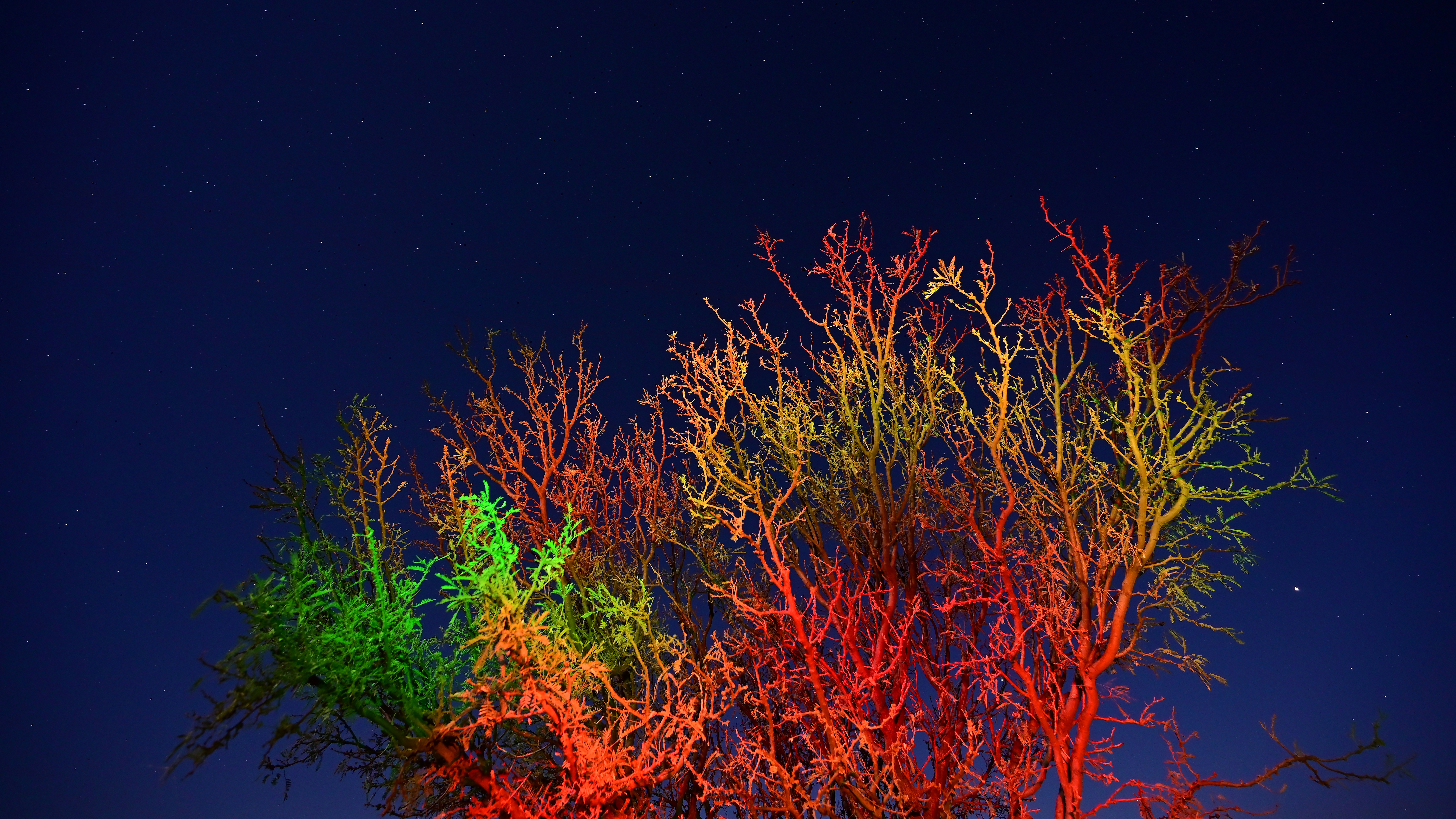 Marfa Lights viewing area
