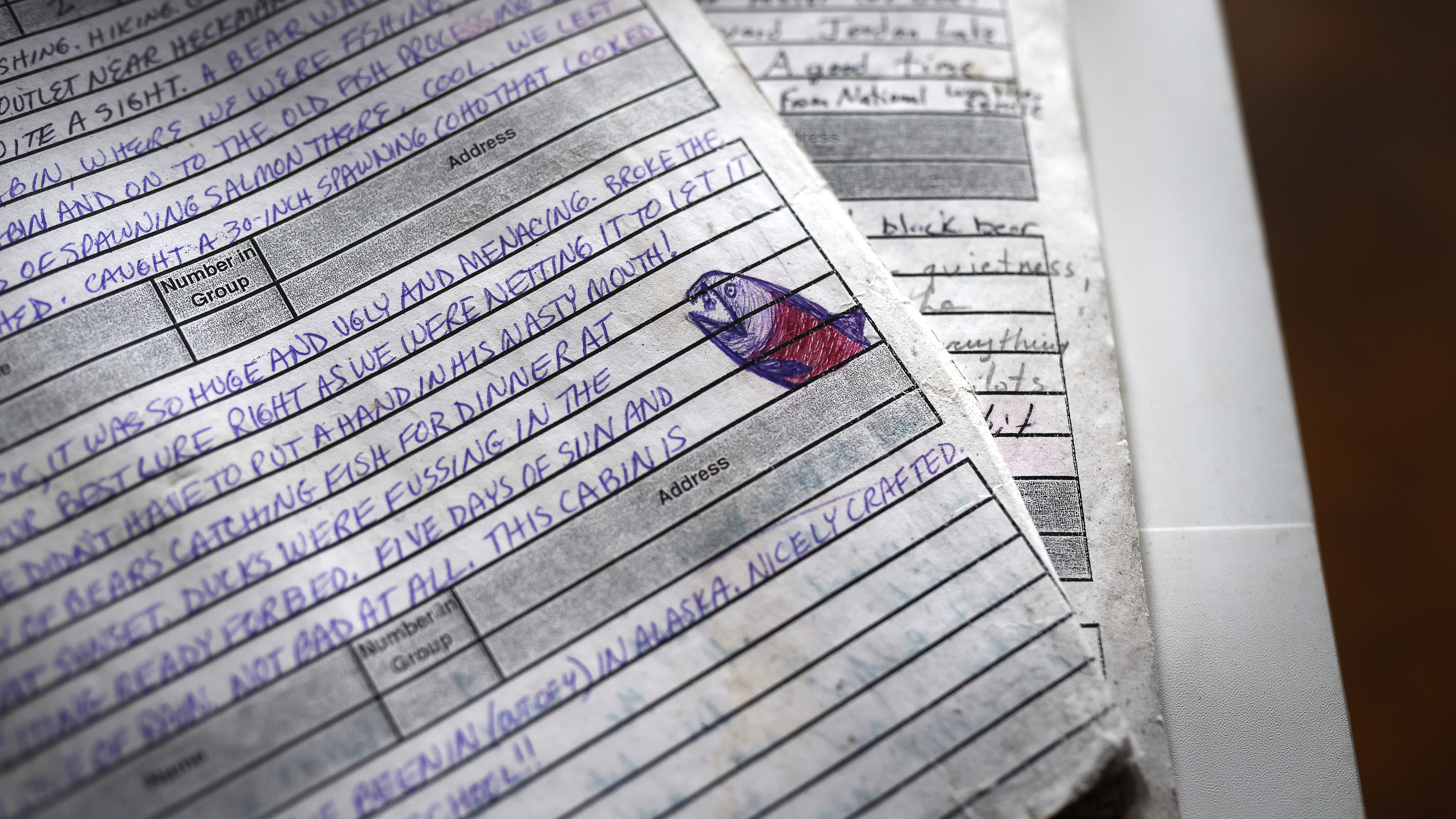 A book in each cabin records comments from visitors.