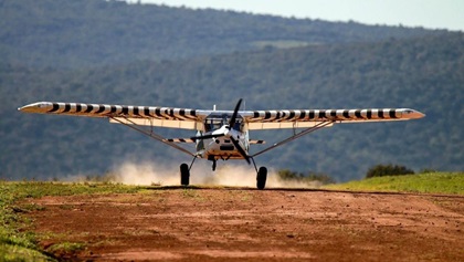 Bushcat (Skyreach) 