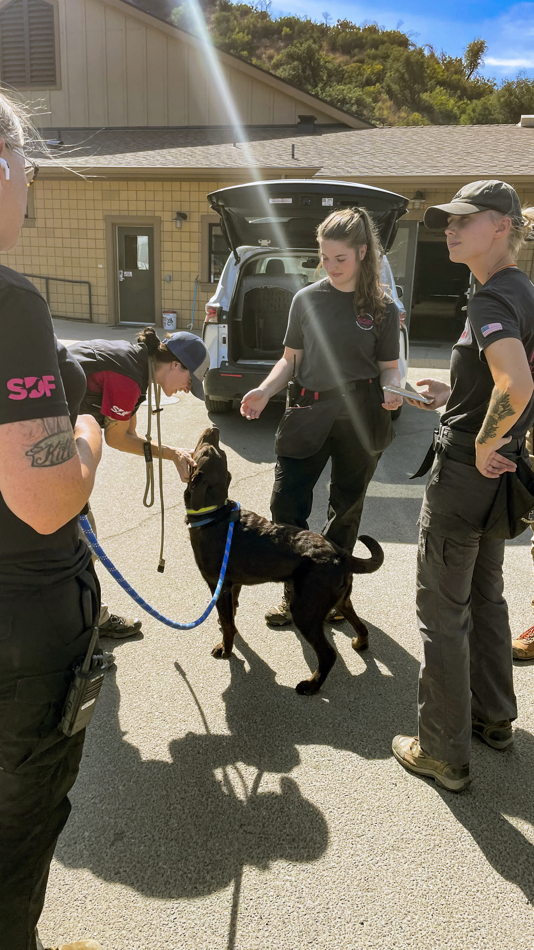 Photography by Sylvia Stoney