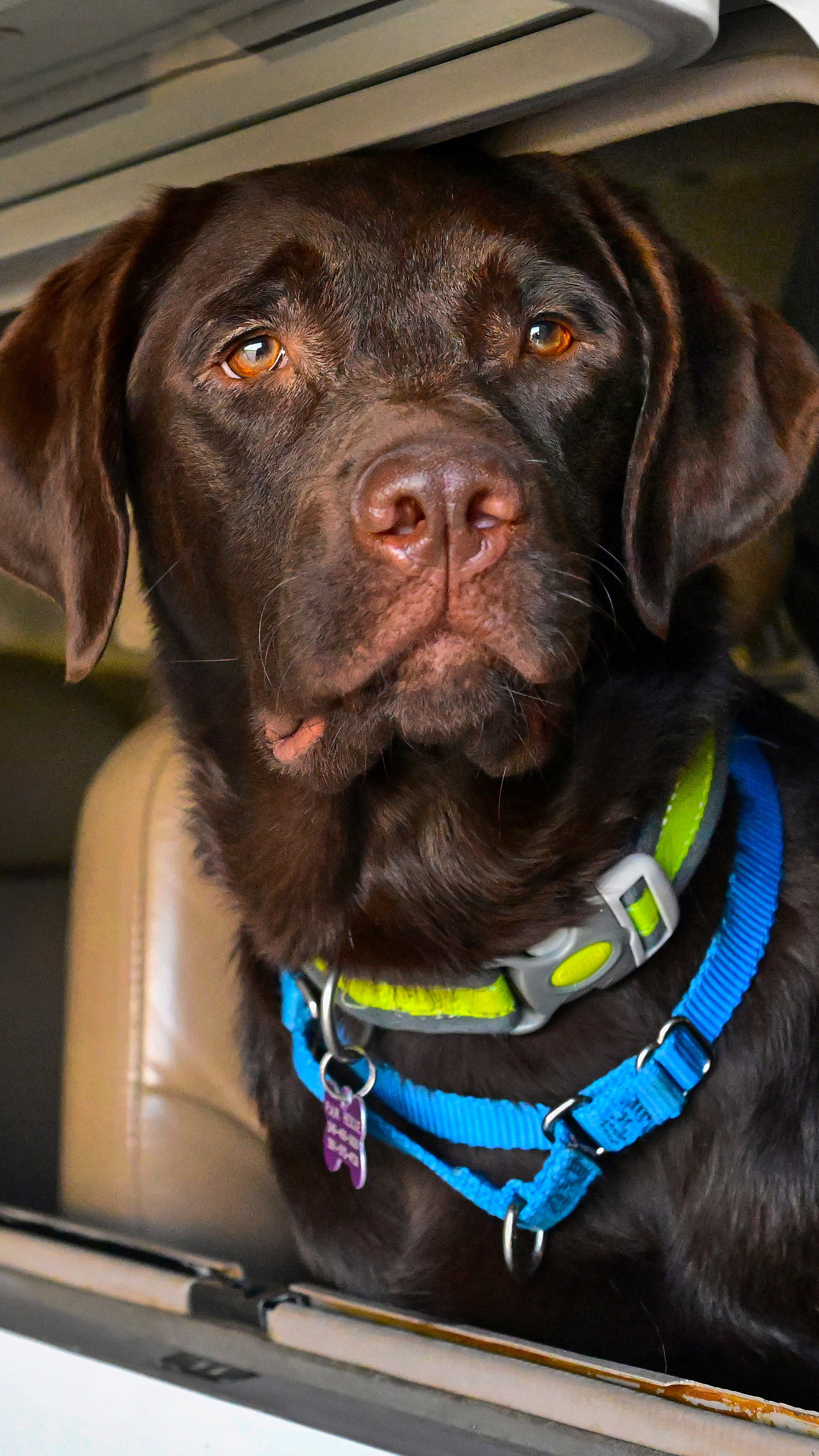 Photography by David Tulis