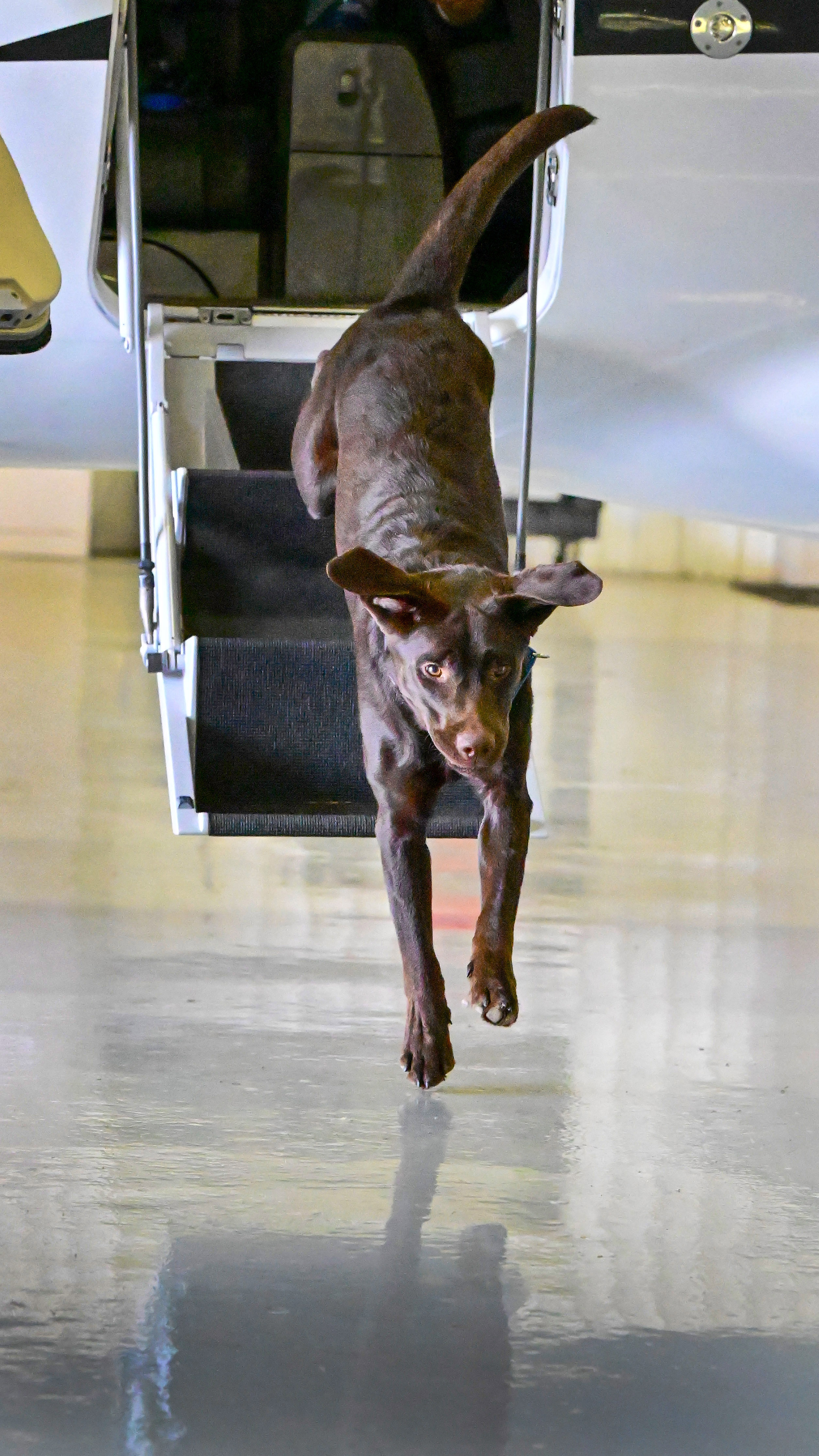 Photography by David Tulis