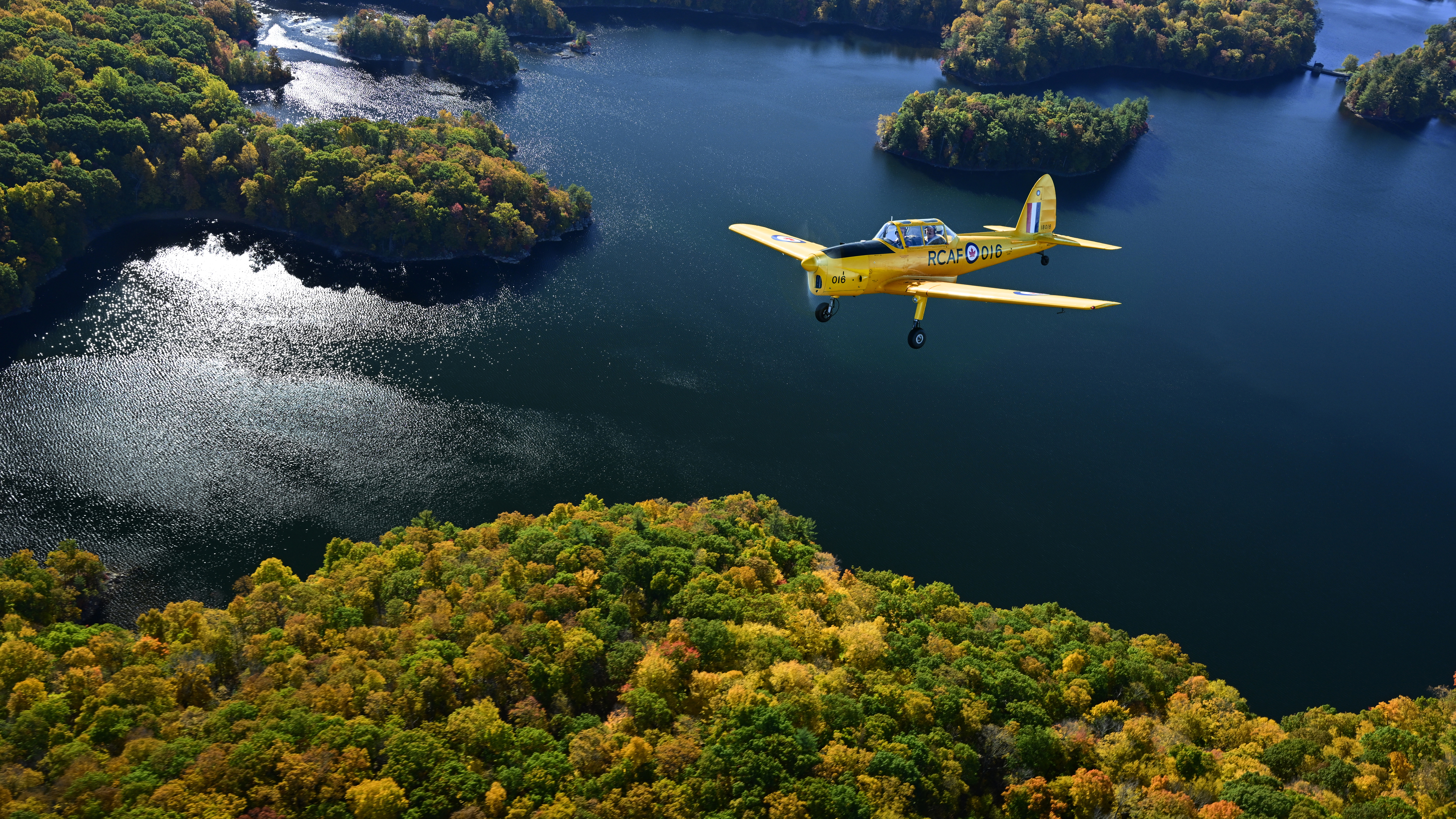 Photography by David Tulis