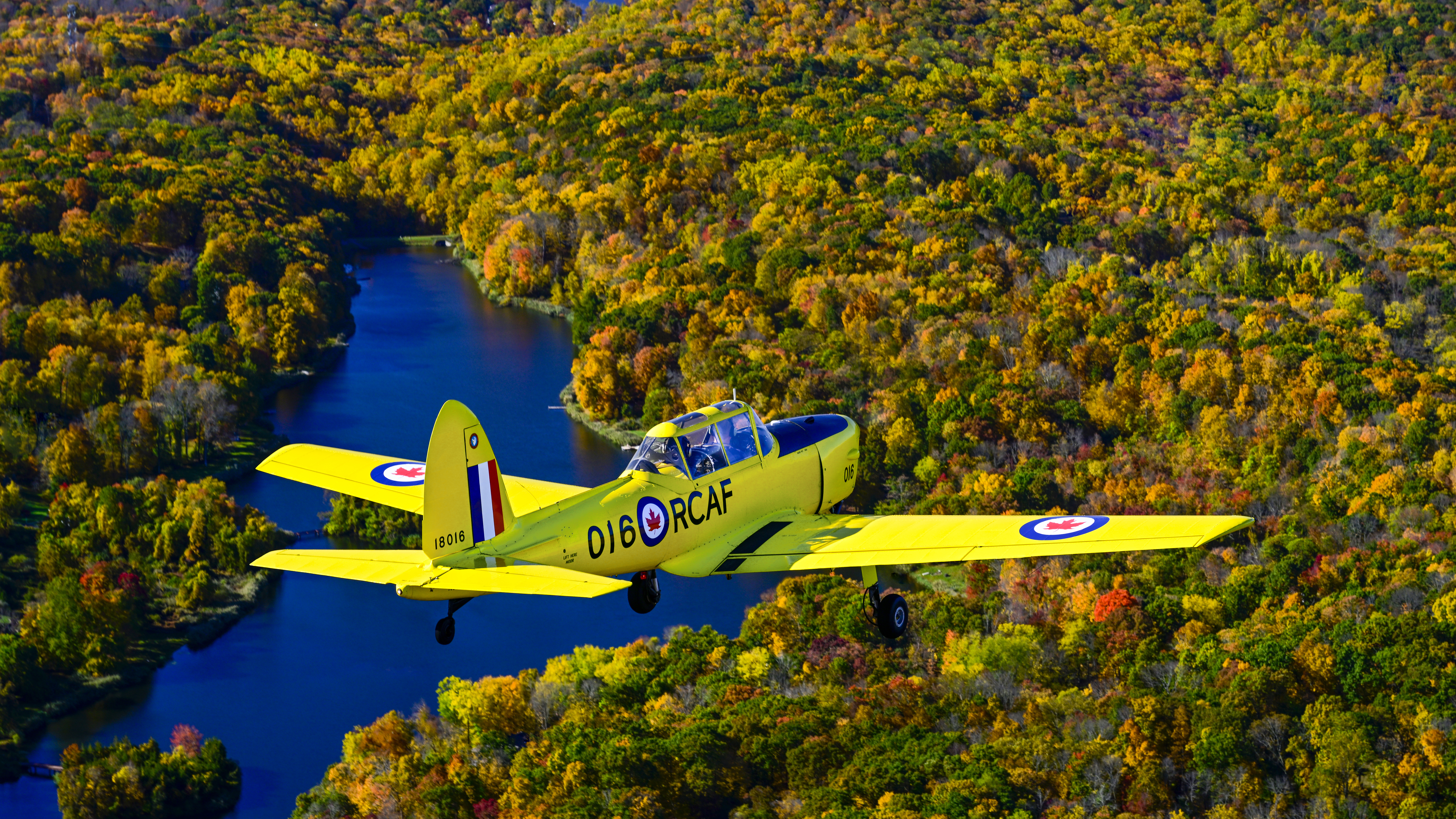 The Chipmunk has a narrow fuselage that mimics a World War II fighter.