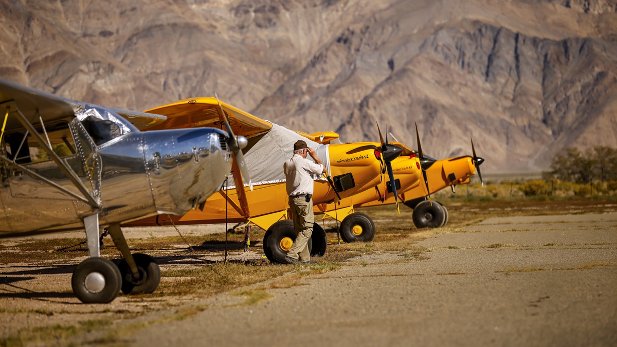 Airplanes lined up and ready for a day of adventure.