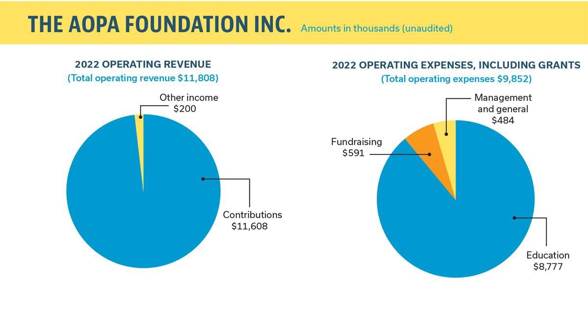 Education constitutes the bulk of expenses to support the You Can Fly programs, the AOPA Air Safety Institute, and the Airport Support Network. The You Can Fly programs focus on developing flying clubs, supporting AOPA Ambassadors, flight training, Rusty Pilots initiative, and the high school curriculum. The AOPA Air Safety Institute offers online safety programs including videos, podcasts, webinars, publications, courses, and quizzes. The Airport Support Network promotes, protects, and defends America's community airports. Not shown here is nonoperating investment loss.