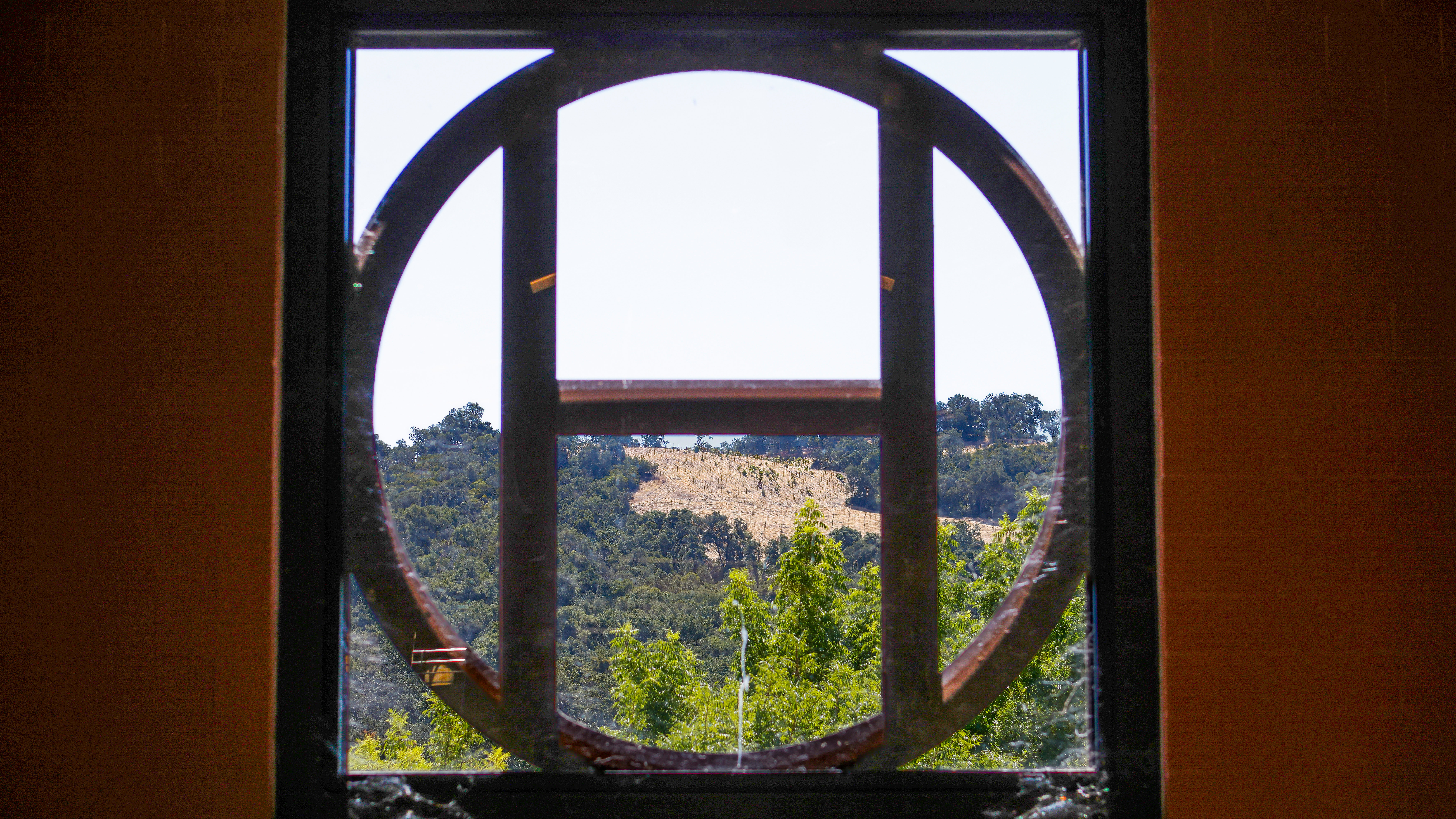 Photography by Chris Rose