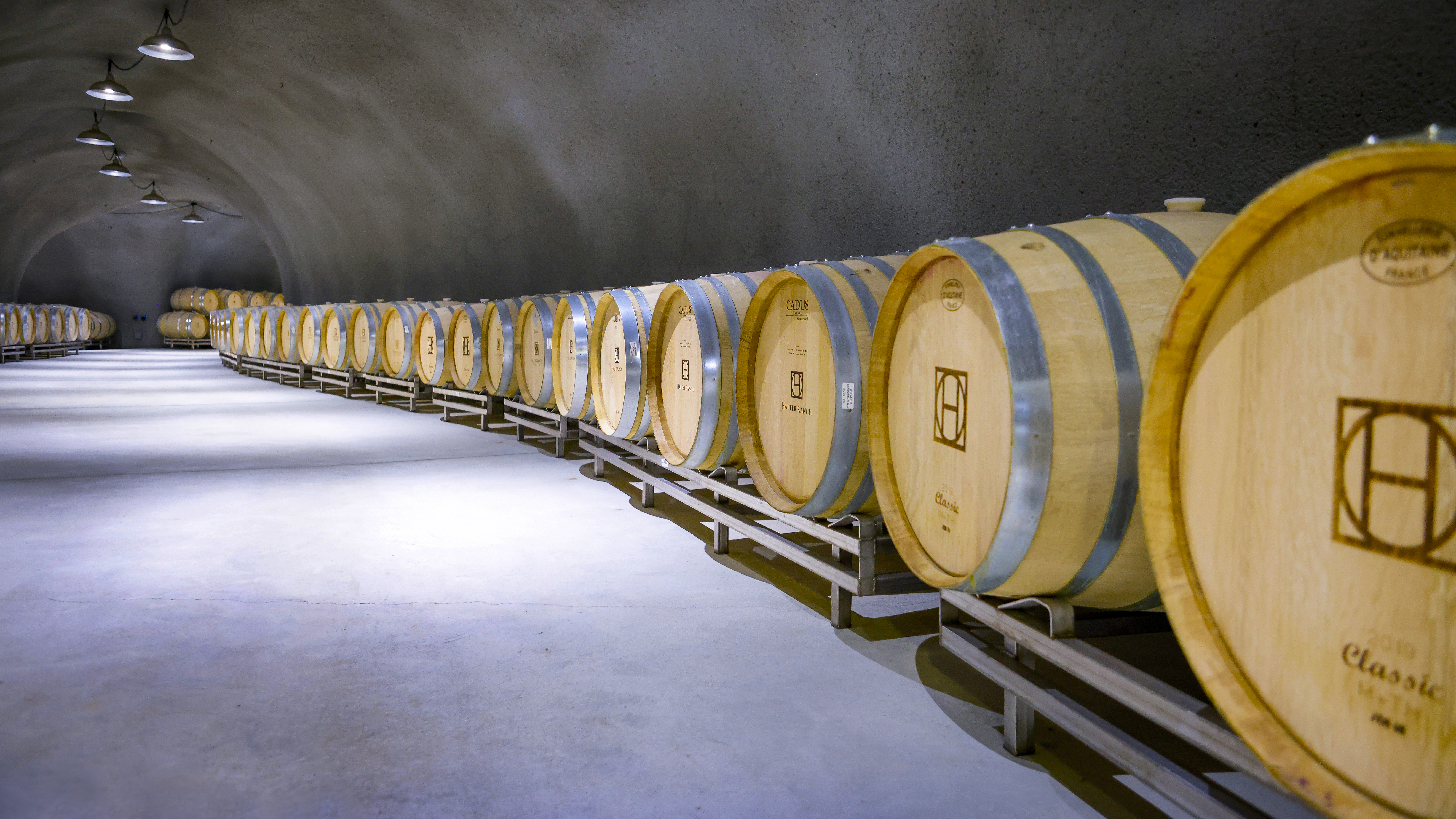 Barrels of wine are lined up in the cool wine caves.