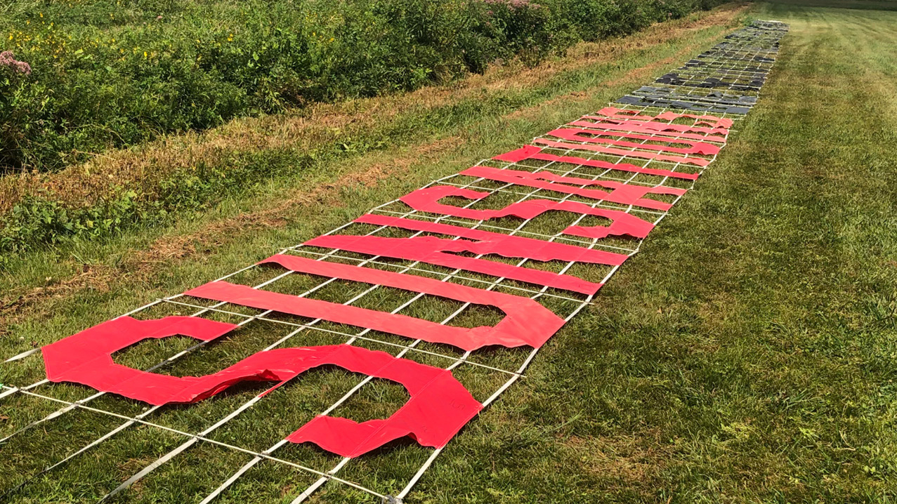 Bunting's Flying Services