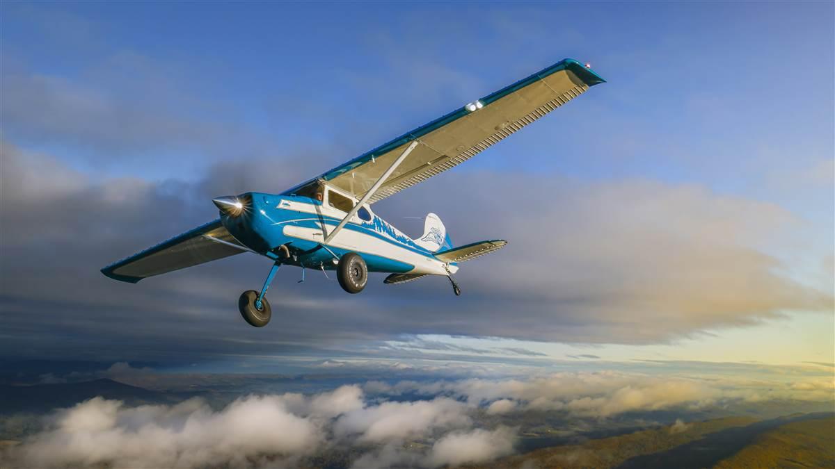 Photography by Chris Rose.