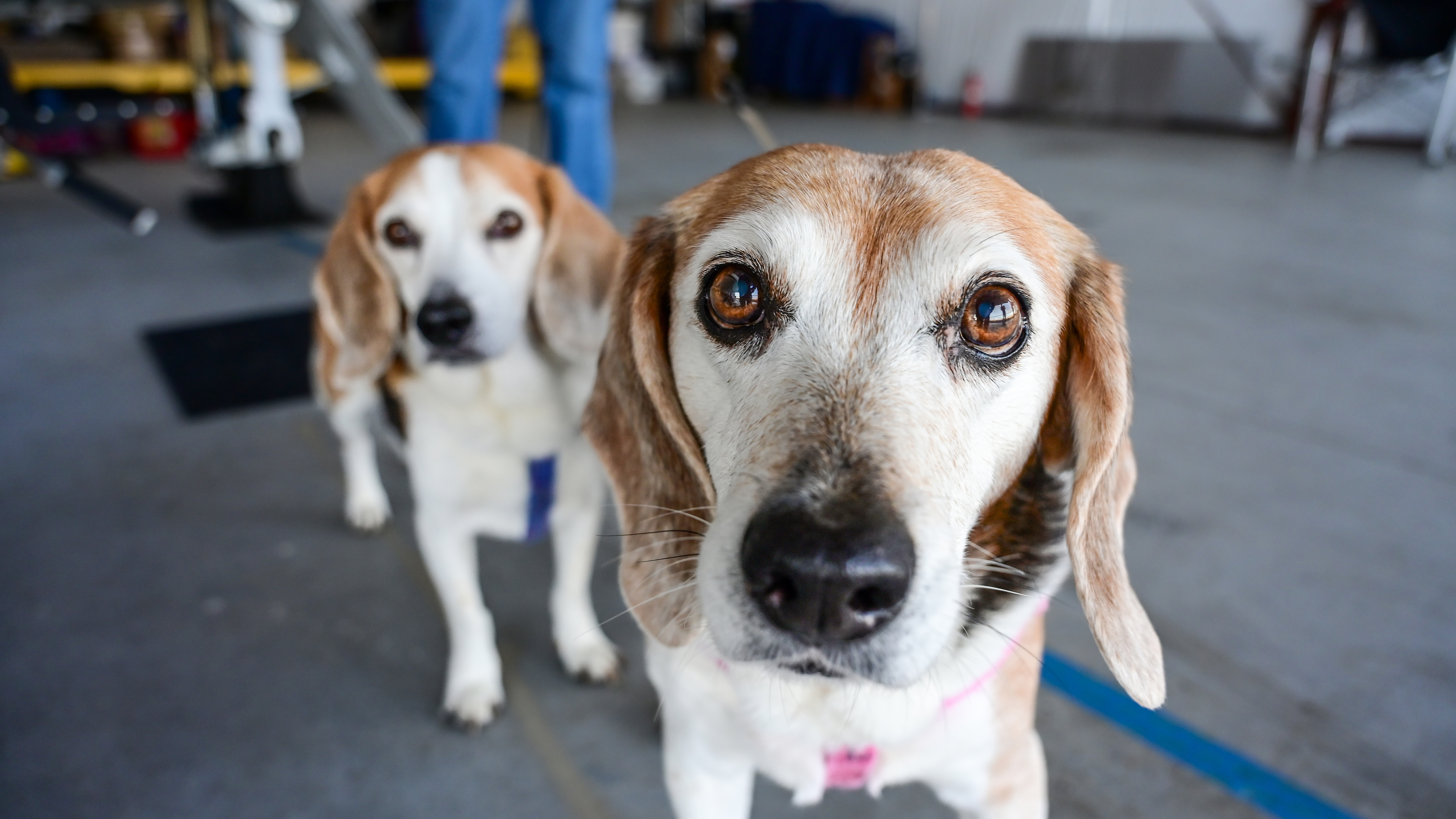 A cellphone makes it easier to inspect the
single-engine jet’s turbine blades after landing at Delaware Coastal Airport.