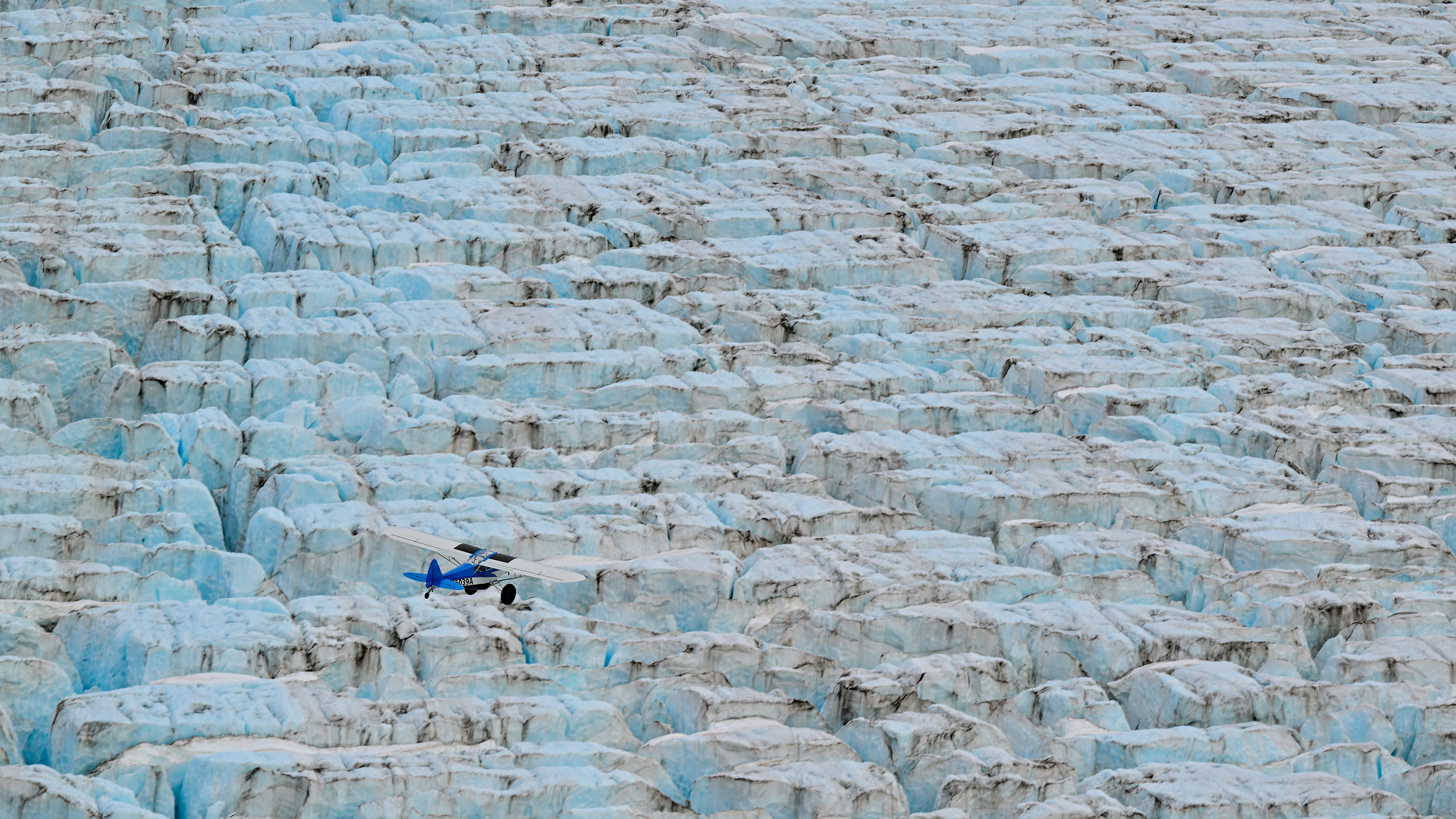 Photography by David Tulis.