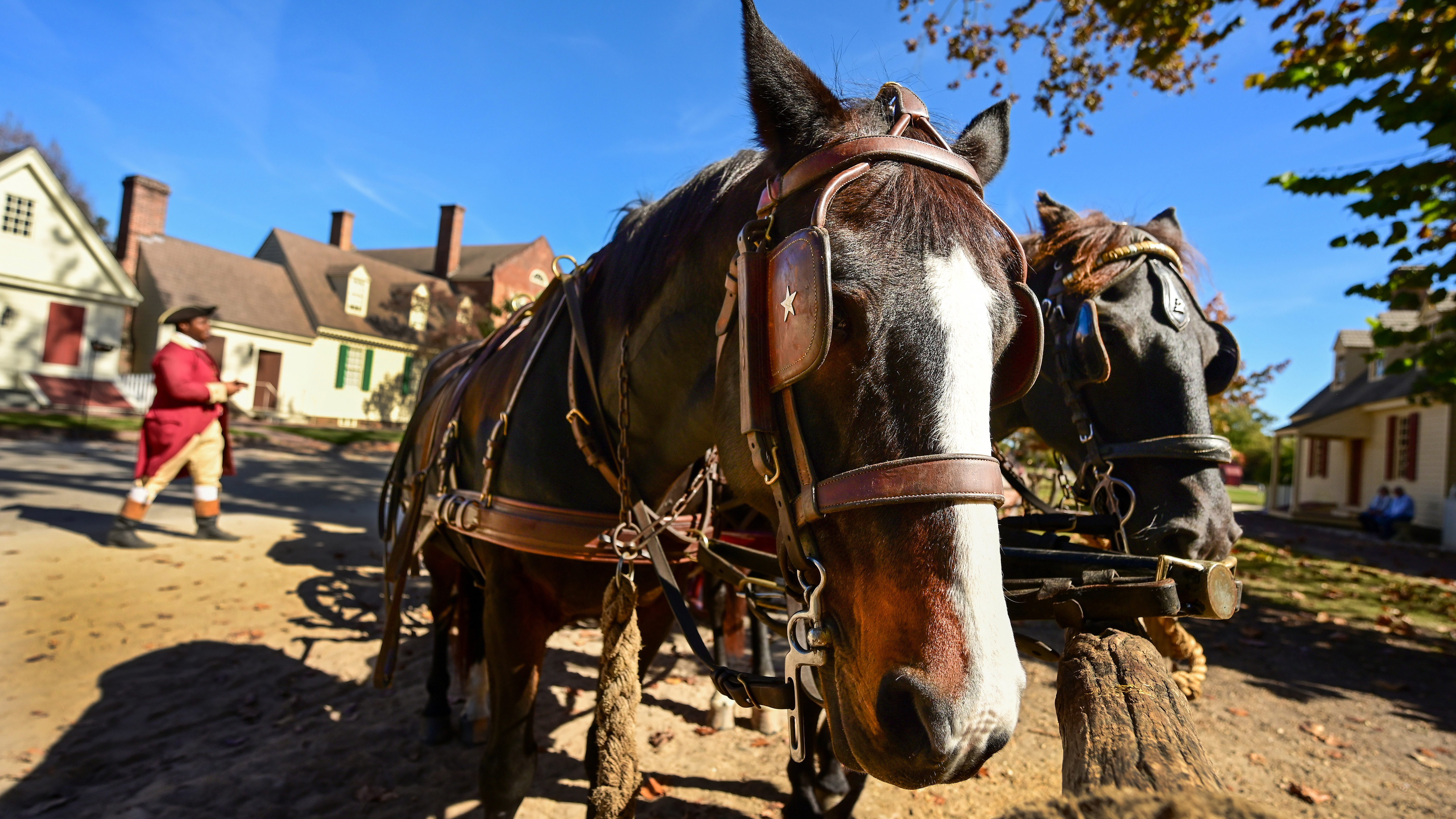 Fly with us around Chesapeake Bay