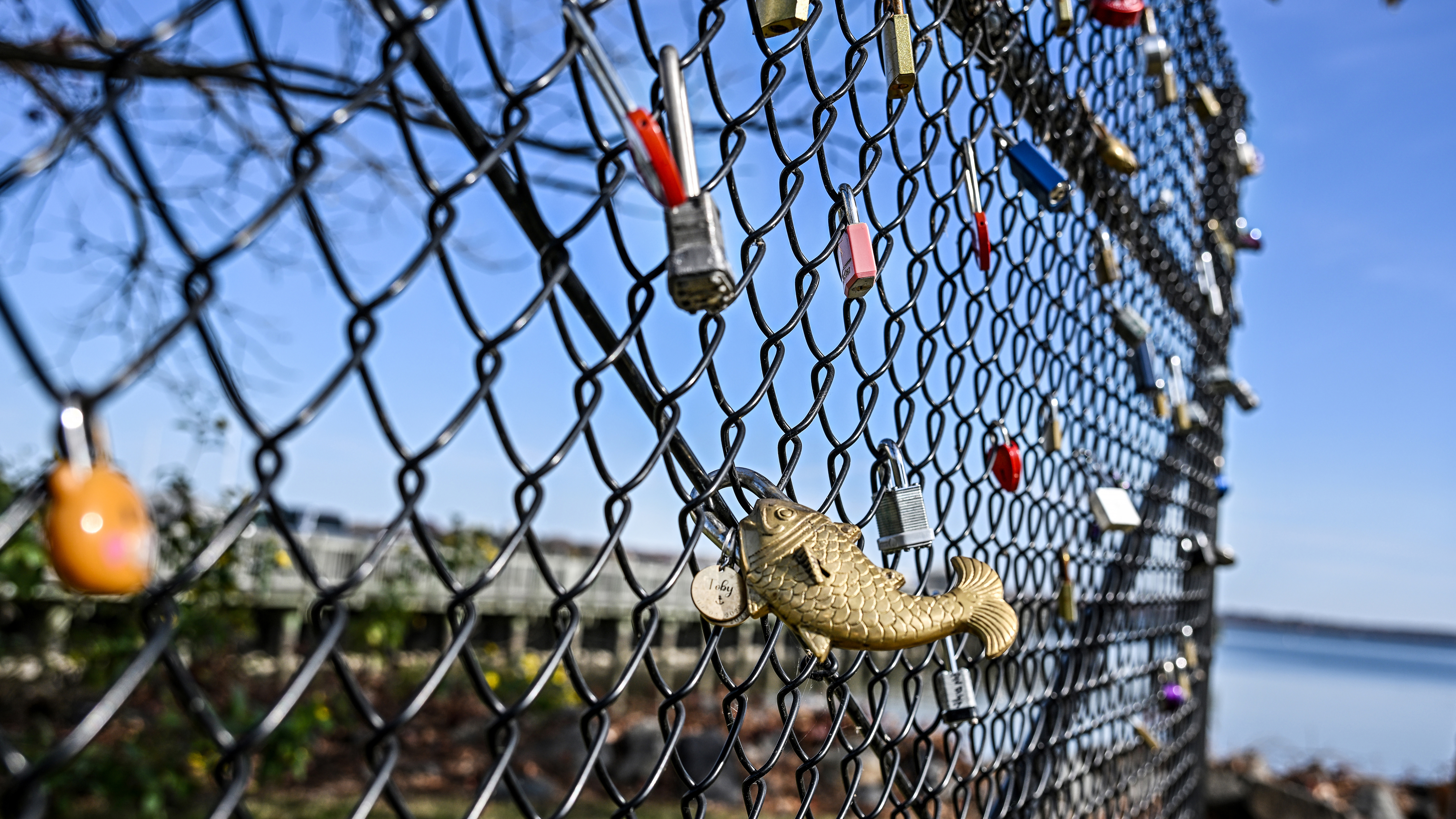 Fly with us around Chesapeake Bay