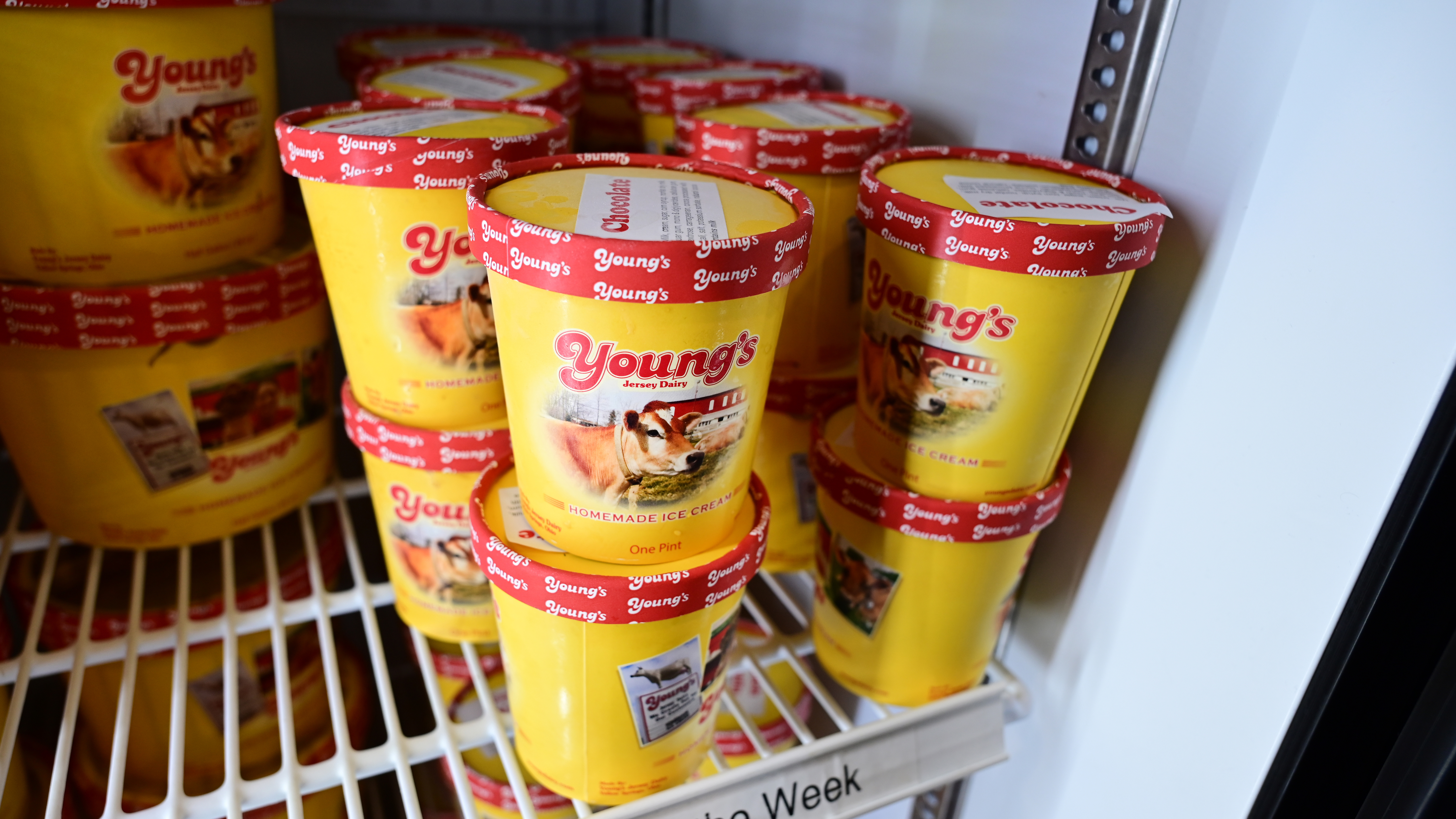 Photography by David Tulis.