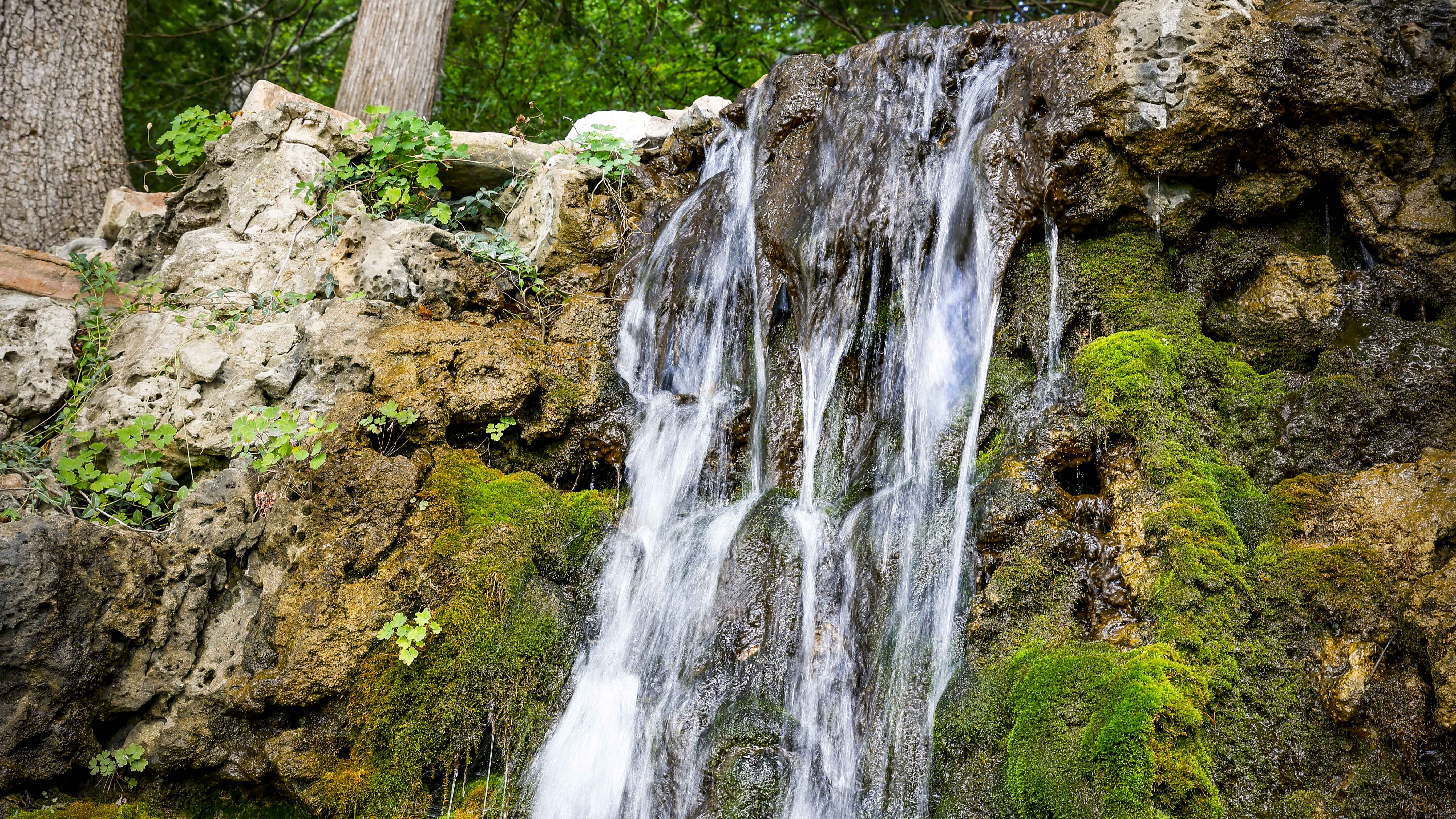 Natural springs run in Ha Ha Tonka State Park.