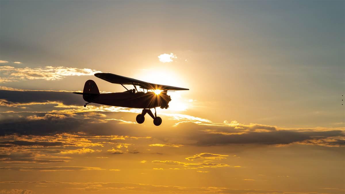 Photography by Mike Collins.