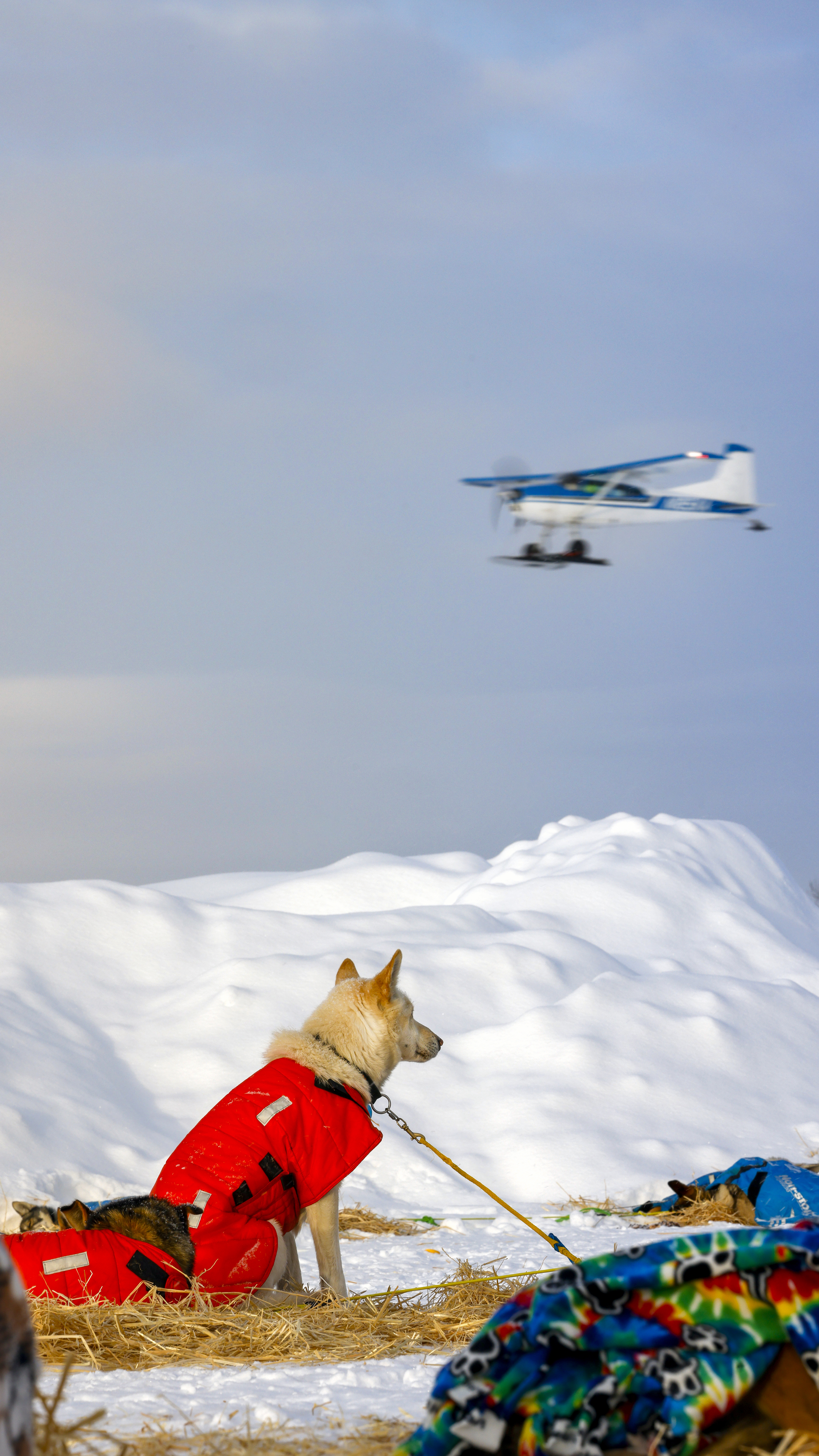 Photography by Chris Rose.