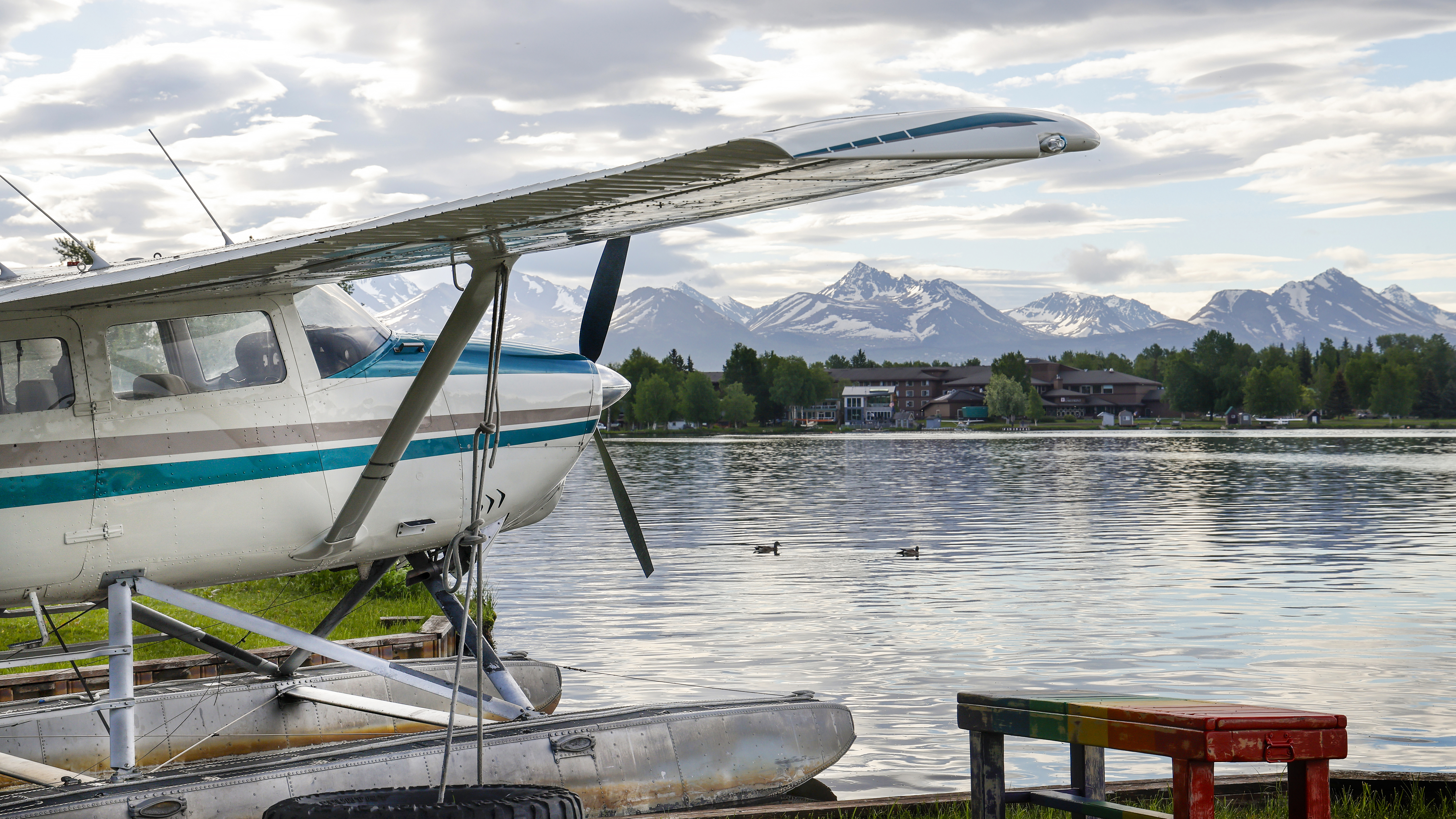 Photo by Chris Rose.