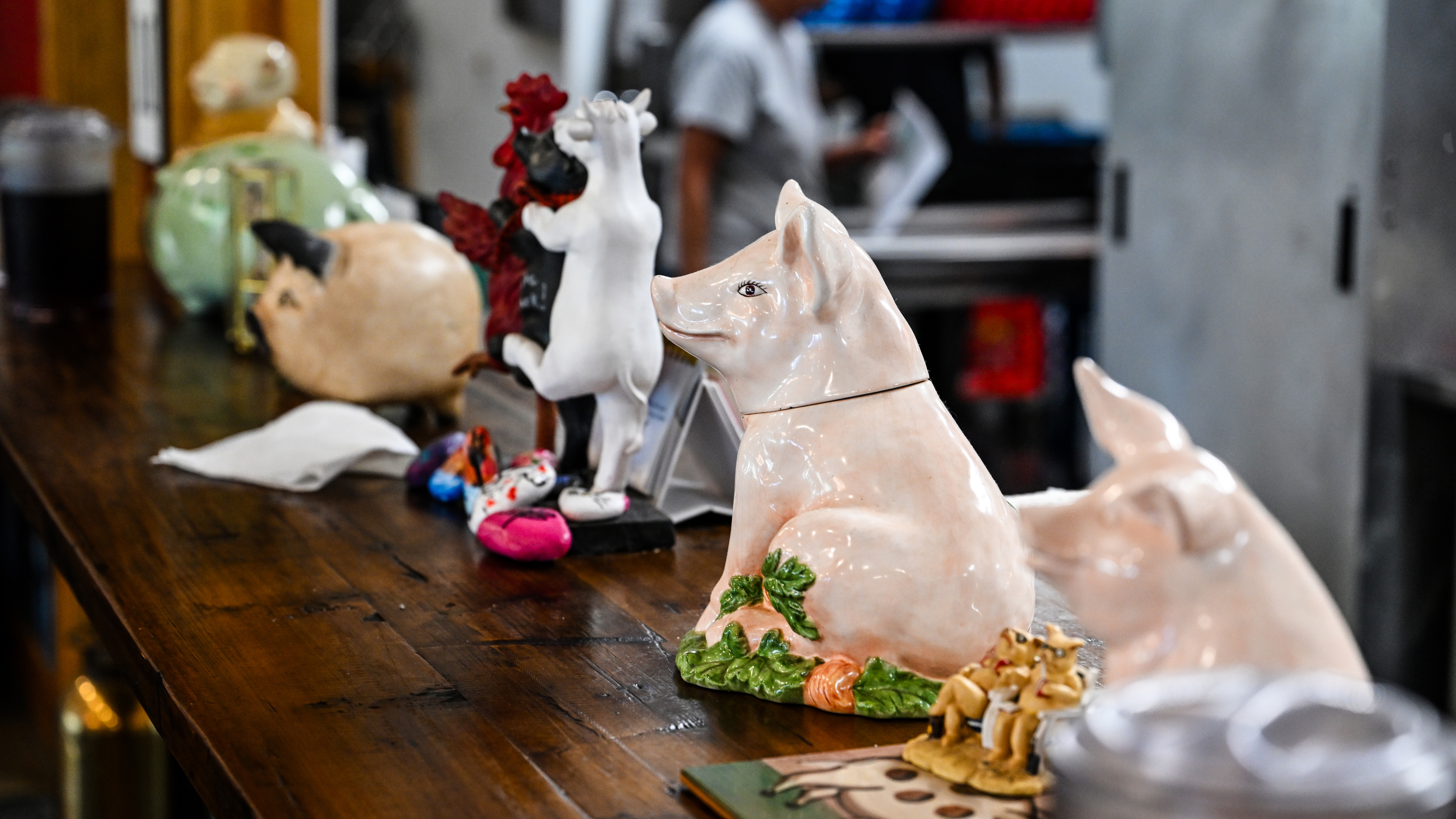 Pigapalooza at the Pik-N-Pig in Carthage.