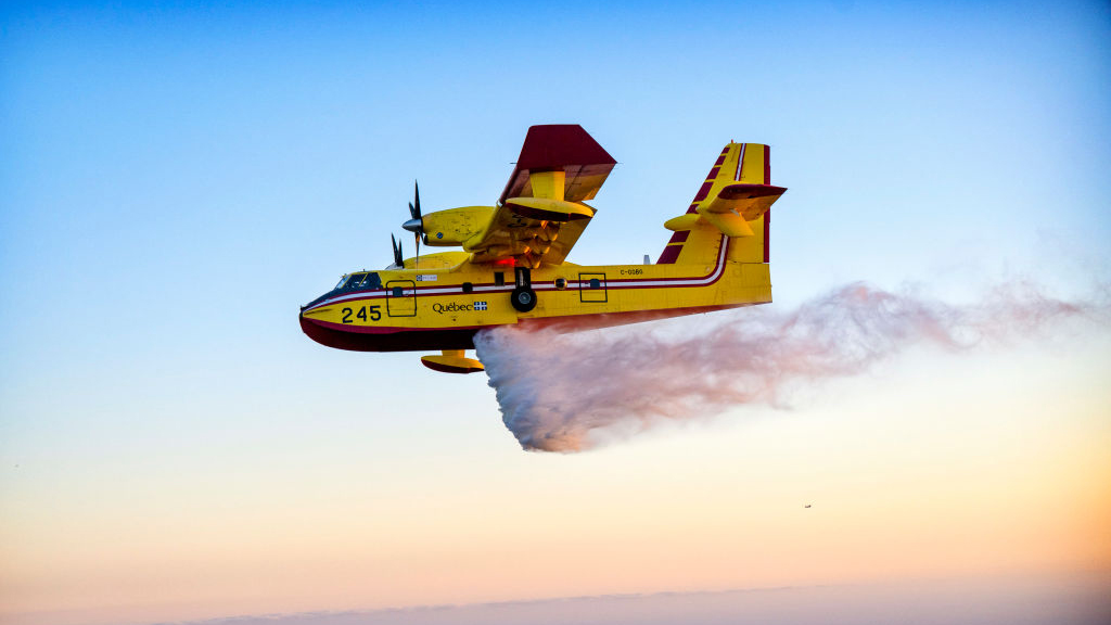 Photo courtesy of Getty Images