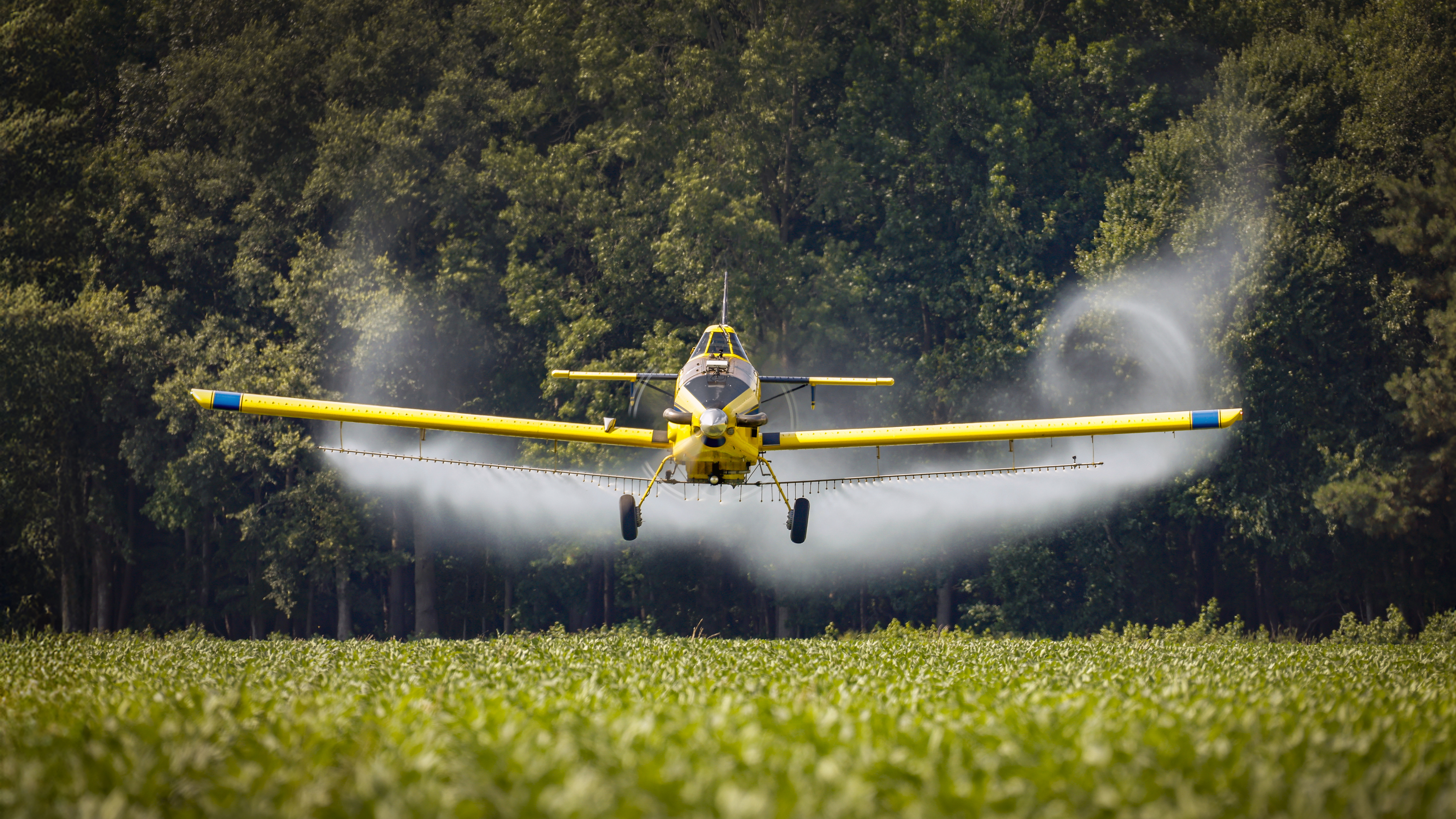 Photography by Chris Rose