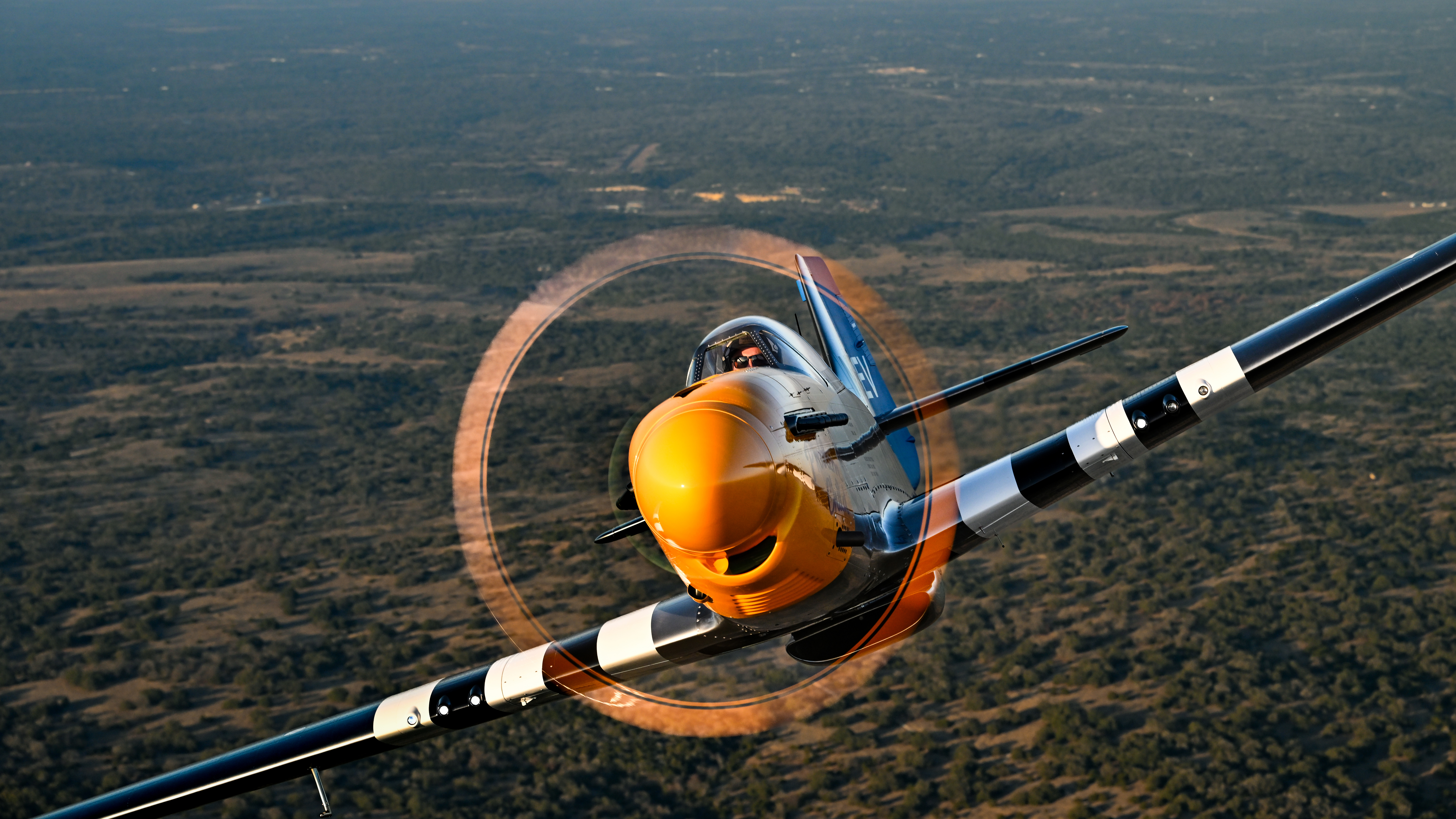 SLIDE SHOW COMPONENT