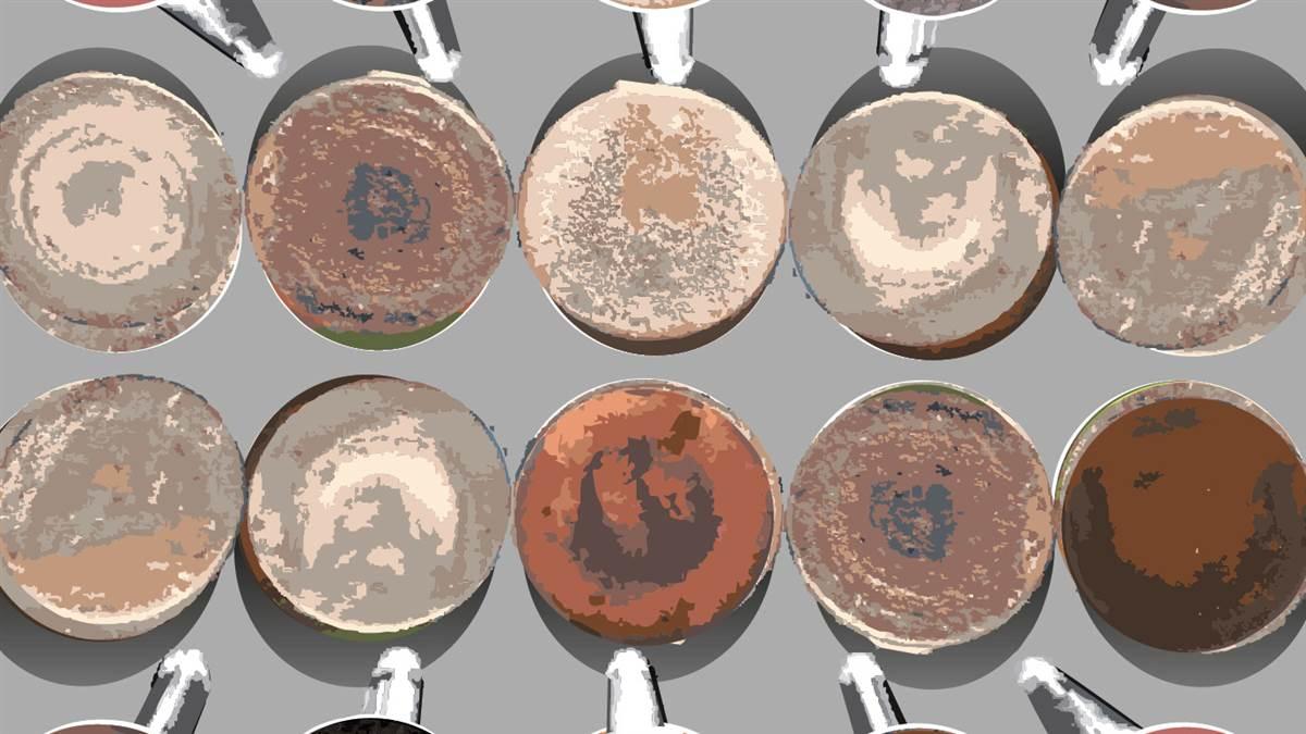 Illustration by Daniel Hertzberg