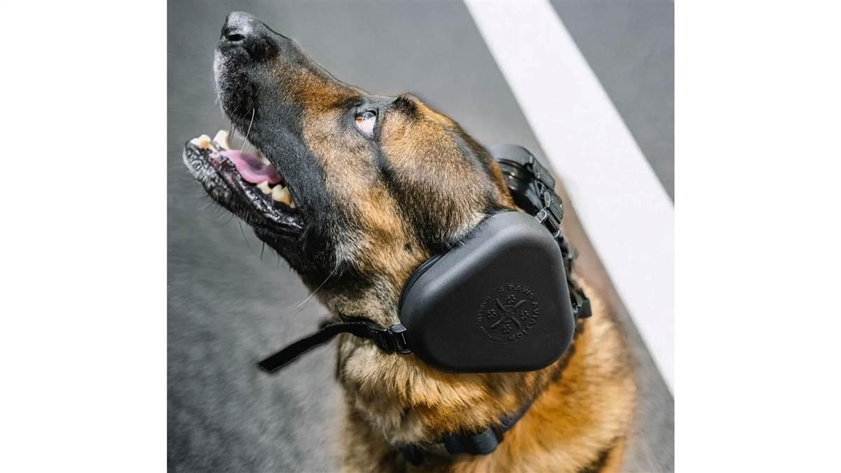 4Paws aviation dog earmuffs allow peace of mind when you fly with your canine companion.