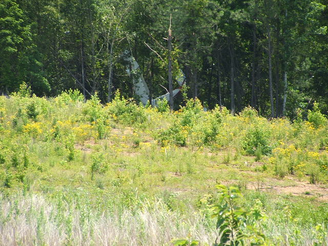 There I was...Jim Johnson Accident Scene