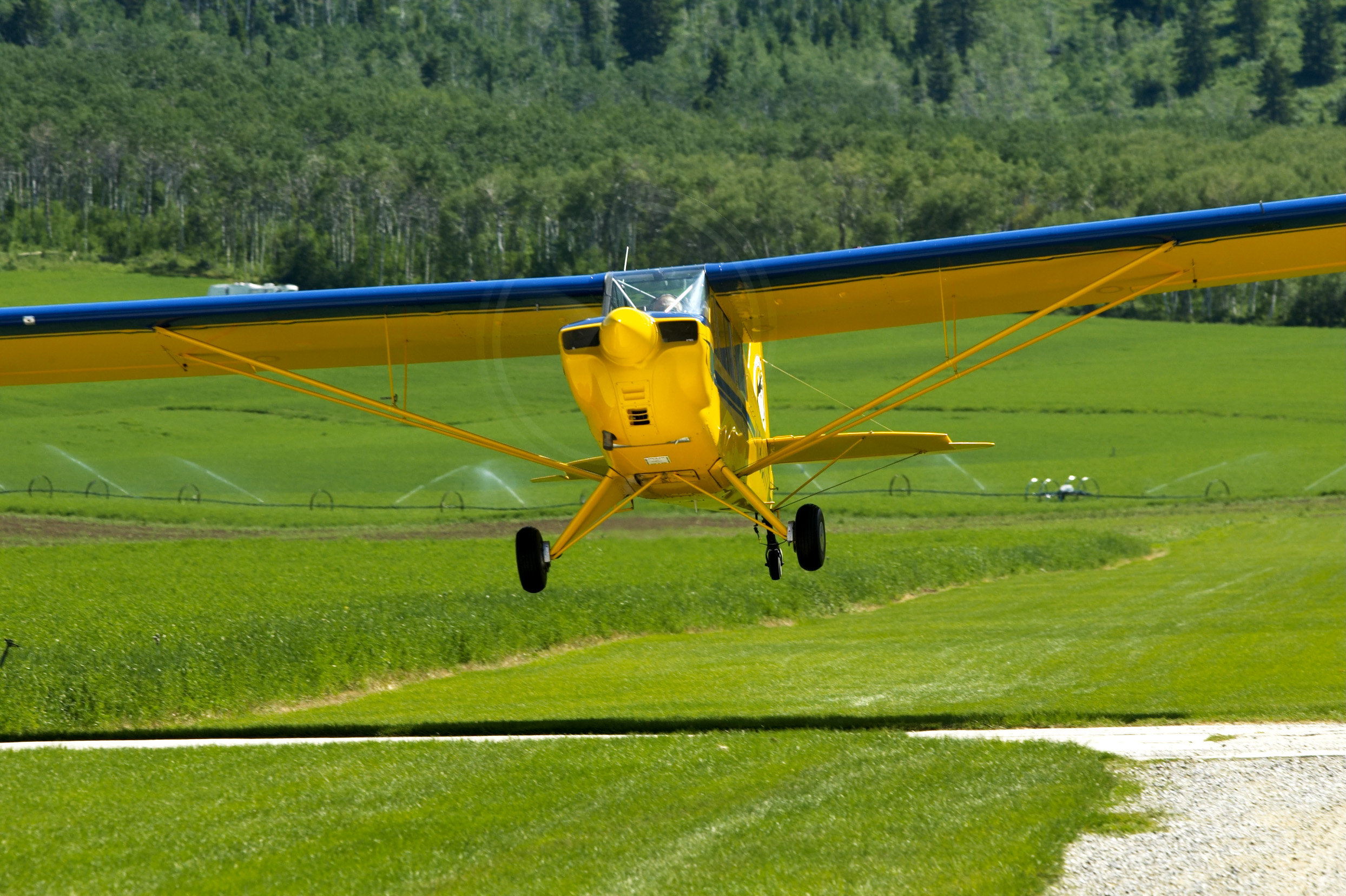 Aviat Pup in Afton, WY. Reproduction of this image prohibited without written permission on photographer's invoice stating rights granted, and payment in full of said invoice.