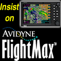 Avidyne