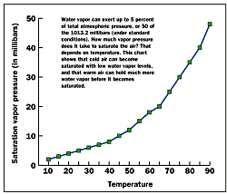 Click for larger image