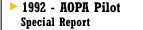 '92 AOPA Pilot Special Report