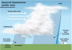 Click for larger image