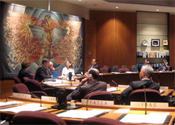 Fuller addresses the Council