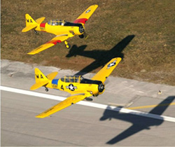 warbirds in formation