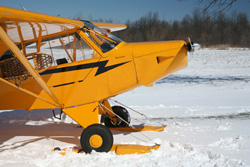 Legend Cub with skis