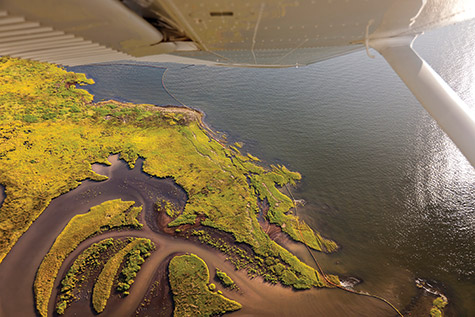 Photo of all affected areas