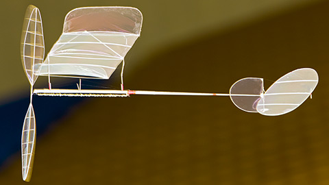 F1D models float like bubbles.